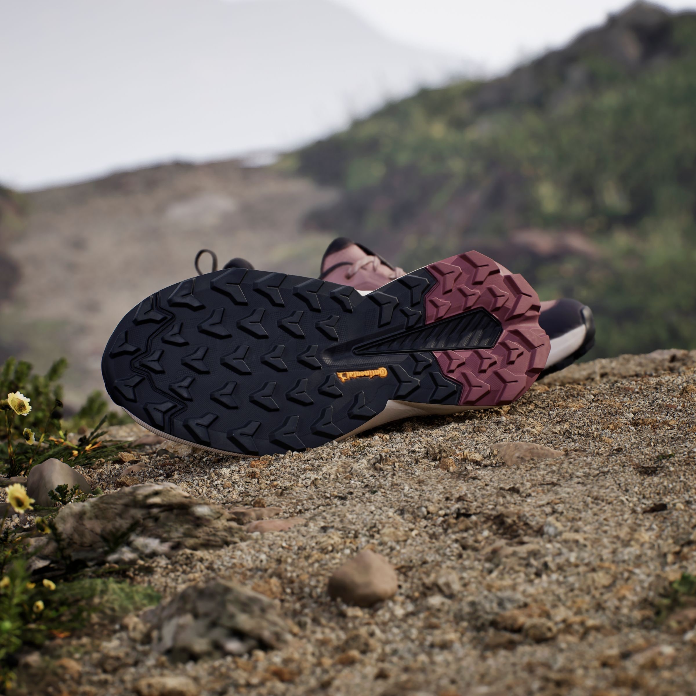 adidas TERREX Wanderschuh »TERREX TRAILMAKER 2.0 GORE-TEX«, wasserdicht