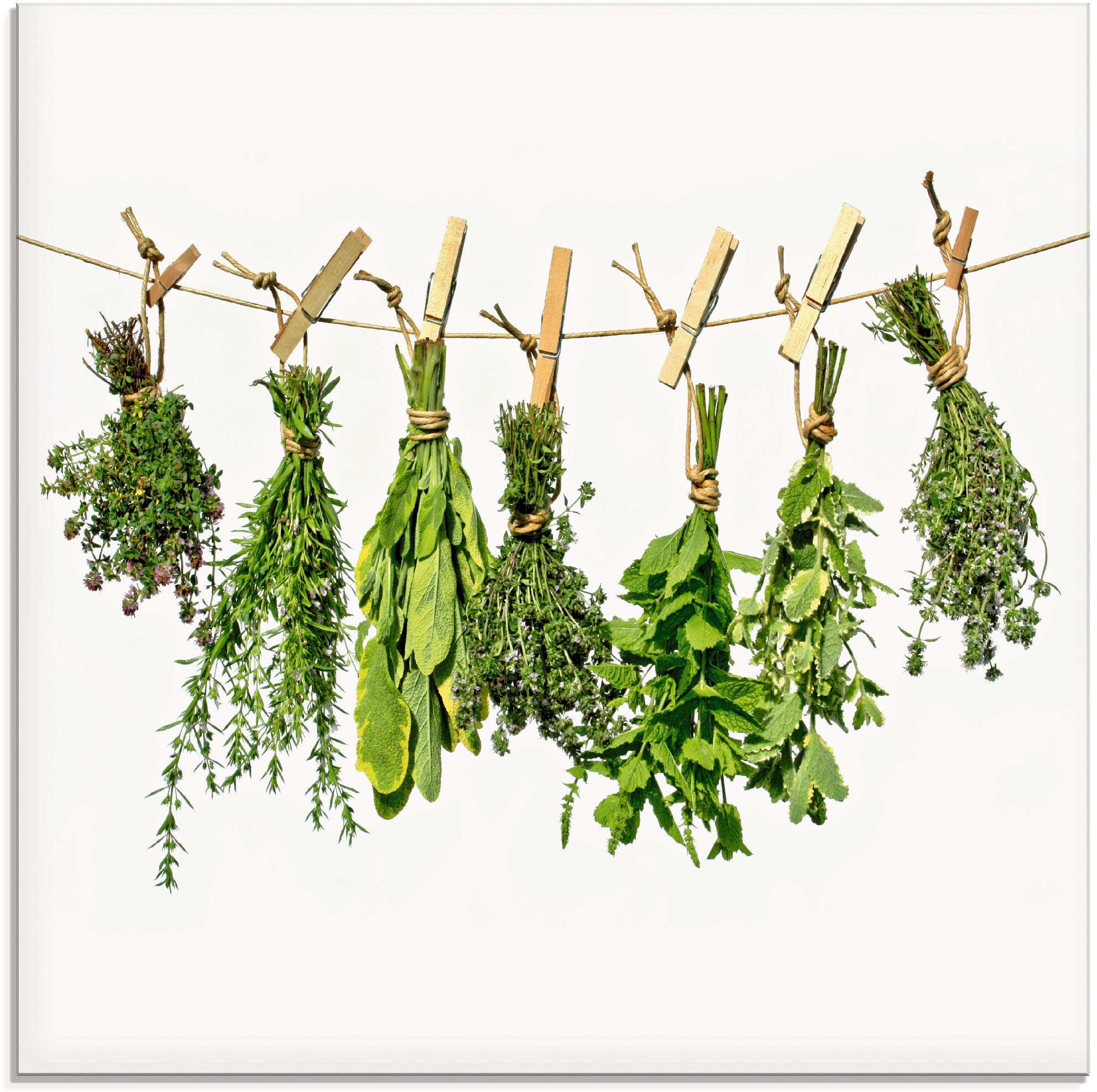 Image of Artland Glasbild »Kräuter«, Pflanzen, (1 St.) bei Ackermann Versand Schweiz