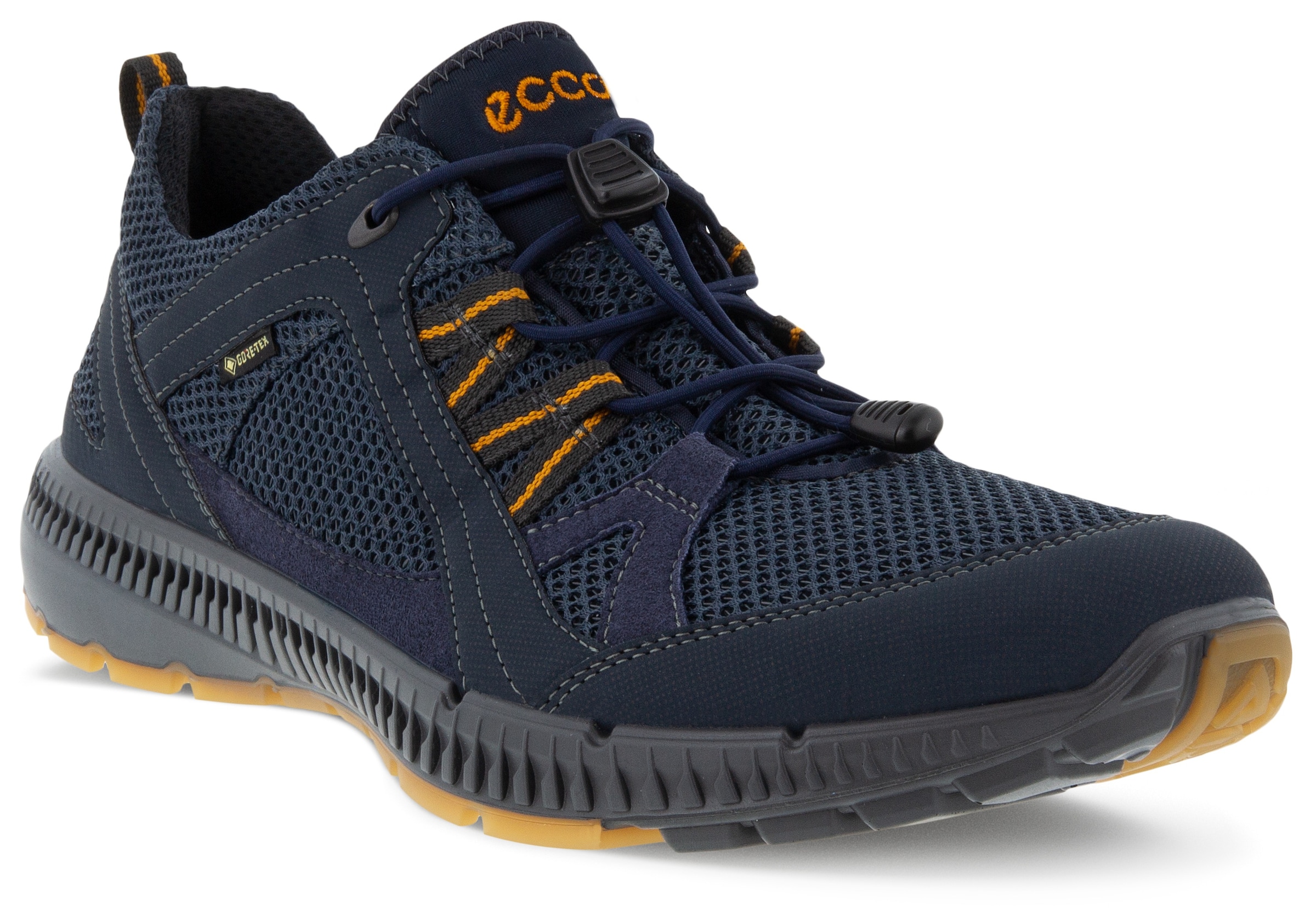 Sneaker »TERRACRUISE 2 M«, mit GORE-TEX