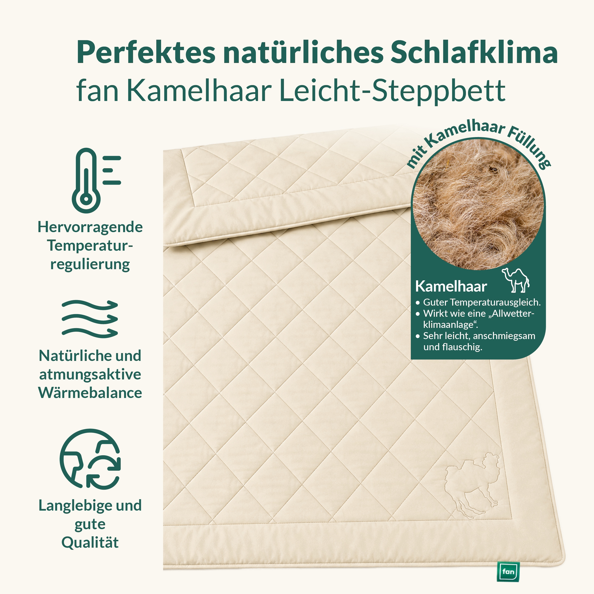 fan Couette en poils naturels »Gobi, Bettdecken für Sommer und Winter, temperaturausgleichend« léger Füllung poil de chameau Bezug Coton 1 cuis tlg. Garnissage en poil de chameau climatisant - Fabriqué en Allemagne