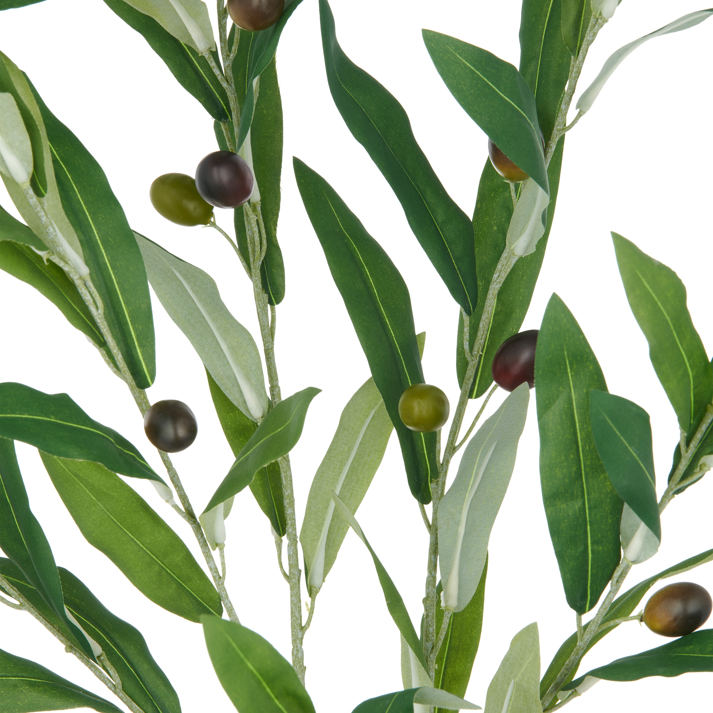 Creativ green Kunstzweig »Olive« mit detailgetreuer Gestaltung