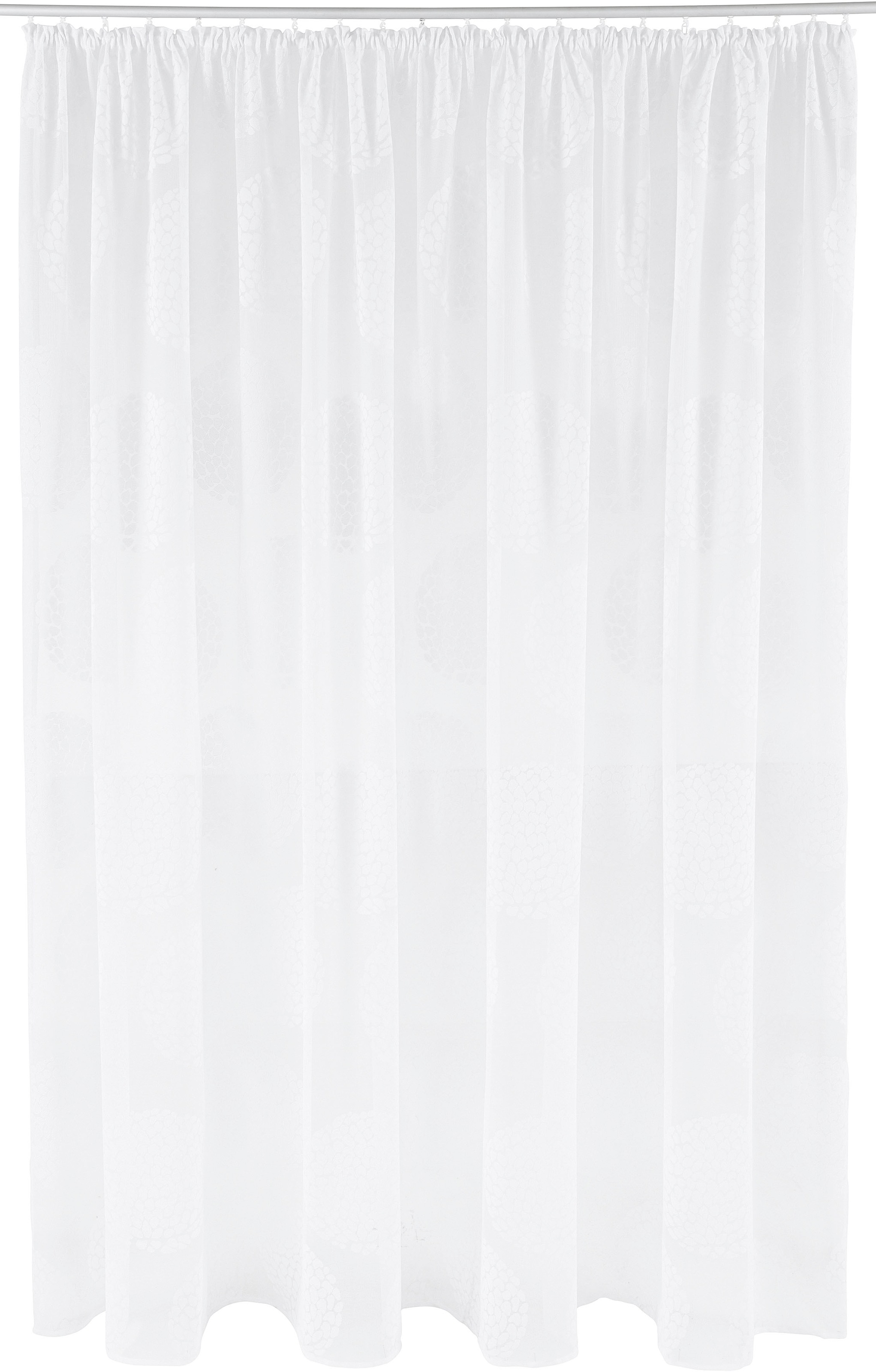 Image of DELAVITA Gardine »PILAR«, (1 St.), transparent, verschiedene Grössen bei Ackermann Versand Schweiz