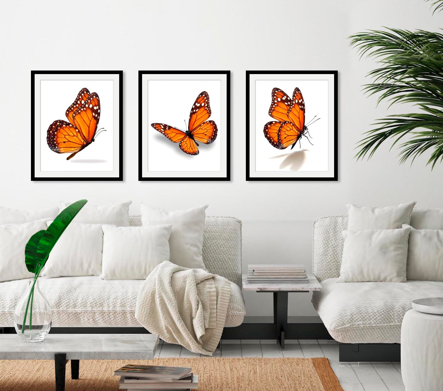 queence Bild »Eazy« Insekten | Kunst | Schmetterlinge 1 Stk. tlg. HD Premium Poster-Druck inkl. Holzrahmen