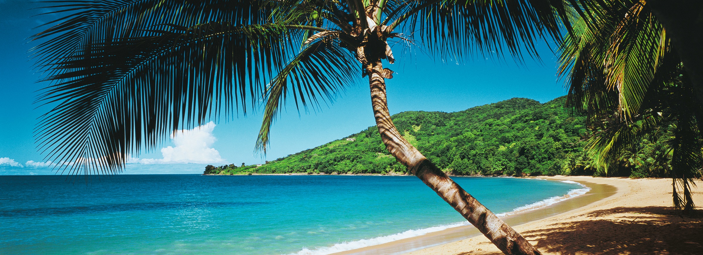 Image of Papermoon Fototapete »Palm Beach Panorama«, matt, Vlies, 2 Bahnen, 350 x 100 cm bei Ackermann Versand Schweiz