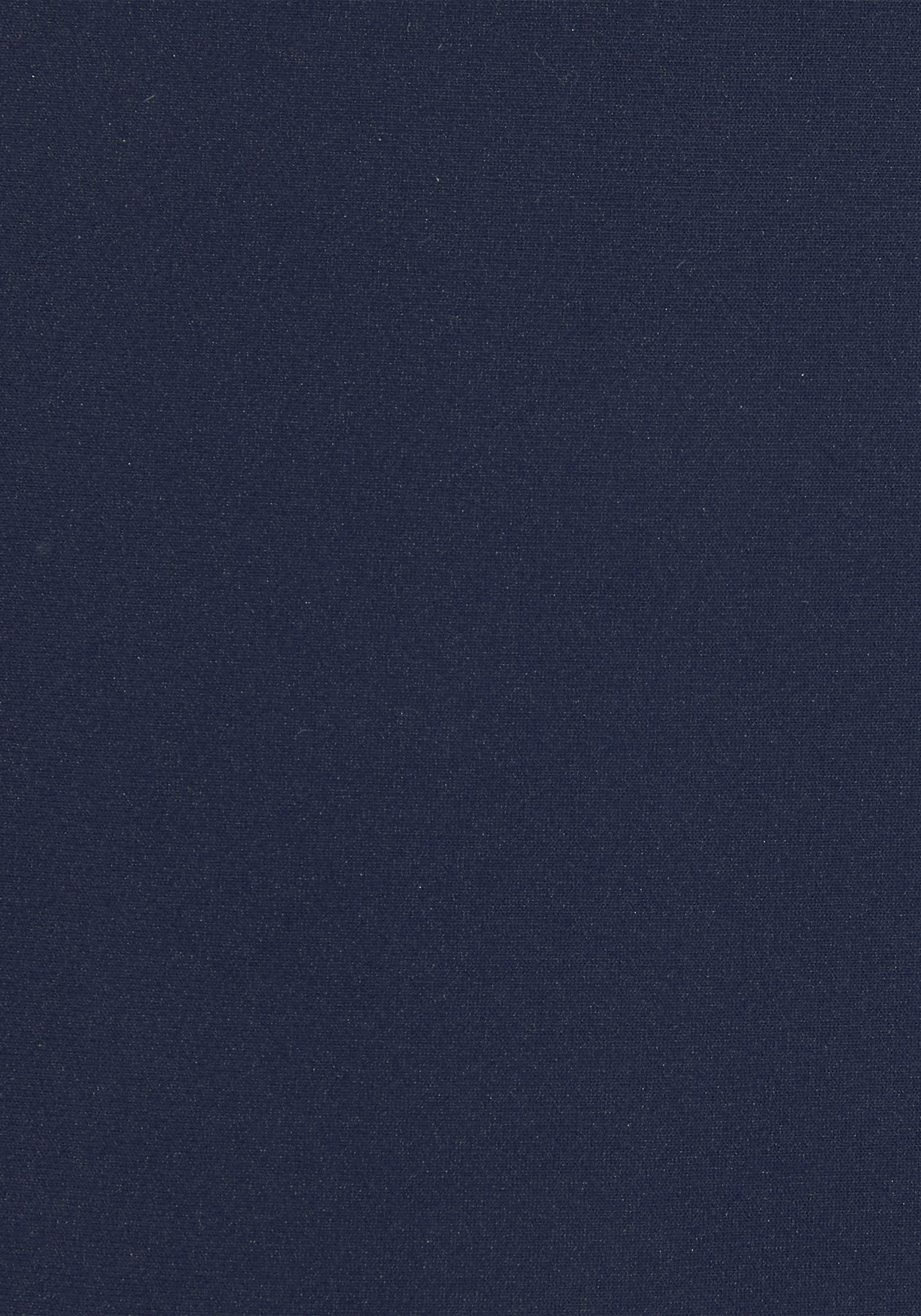 Venice Beach Bikini-Hose »Caru« in klassischer Form