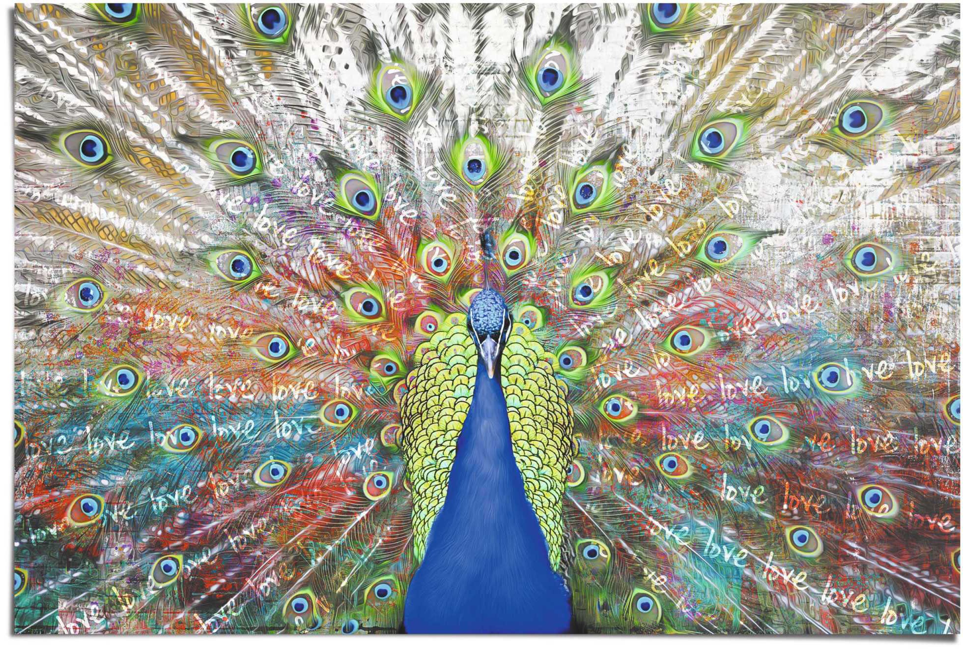 Image of Reinders! Poster »Liebespfau«, (1 St.) bei Ackermann Versand Schweiz