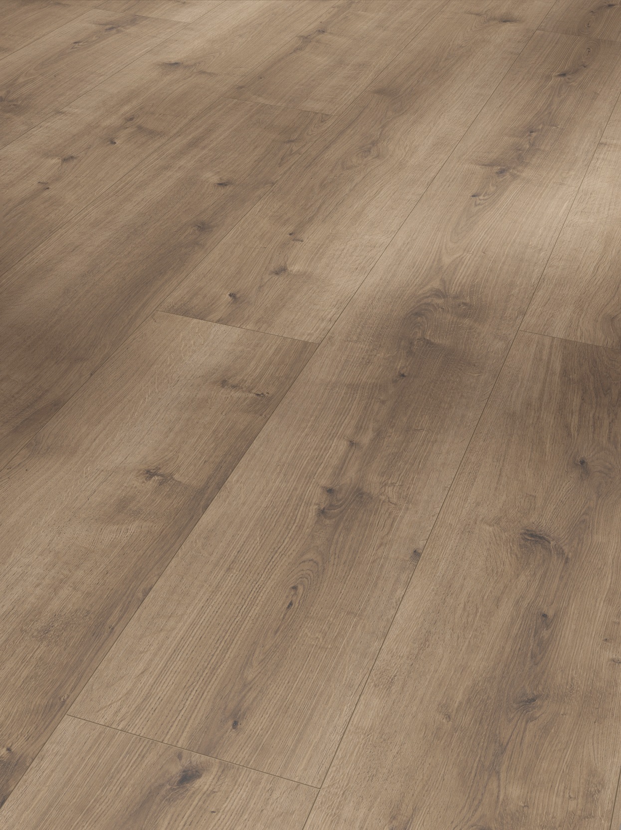 Image of PARADOR Designboden »Modular ONE«, (Packung), Eiche pure perlgrau, 235x2200x8 mm, 3,102 m² bei Ackermann Versand Schweiz