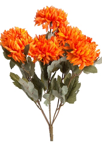 Botanic-Haus Kunstblume »Chrysanthemenstrauss«, (1 St.) kaufen