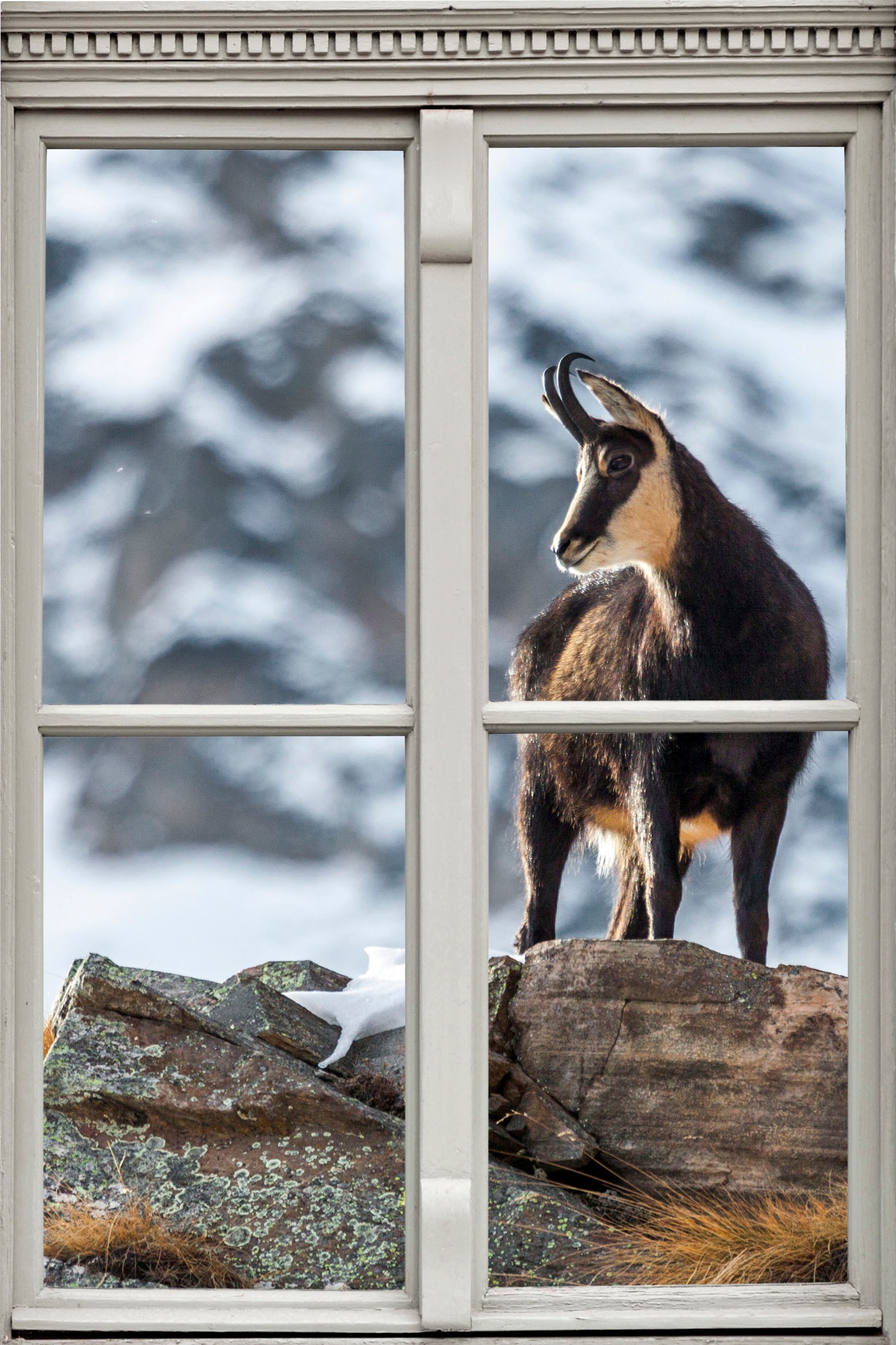 Image of queence Wandsticker "Steinbock" Wandsticker, Wandbild, selbstklebend, 3D, Fenster