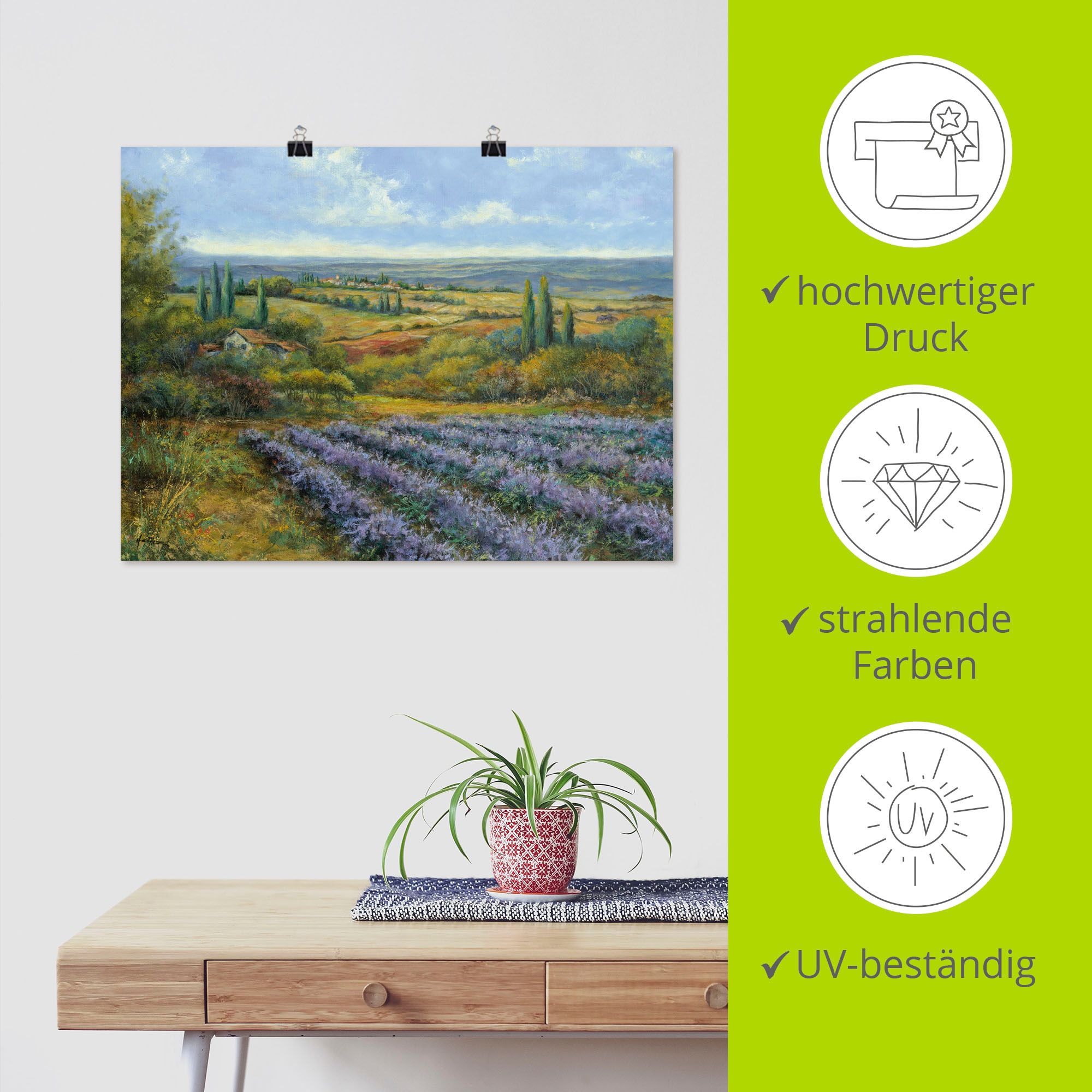 Artland Wandbild »Lavendelfelder in der Provence«, Europa, (1 St.), als Leinwandbild, Poster, Wandaufkleber in verschied. Grössen