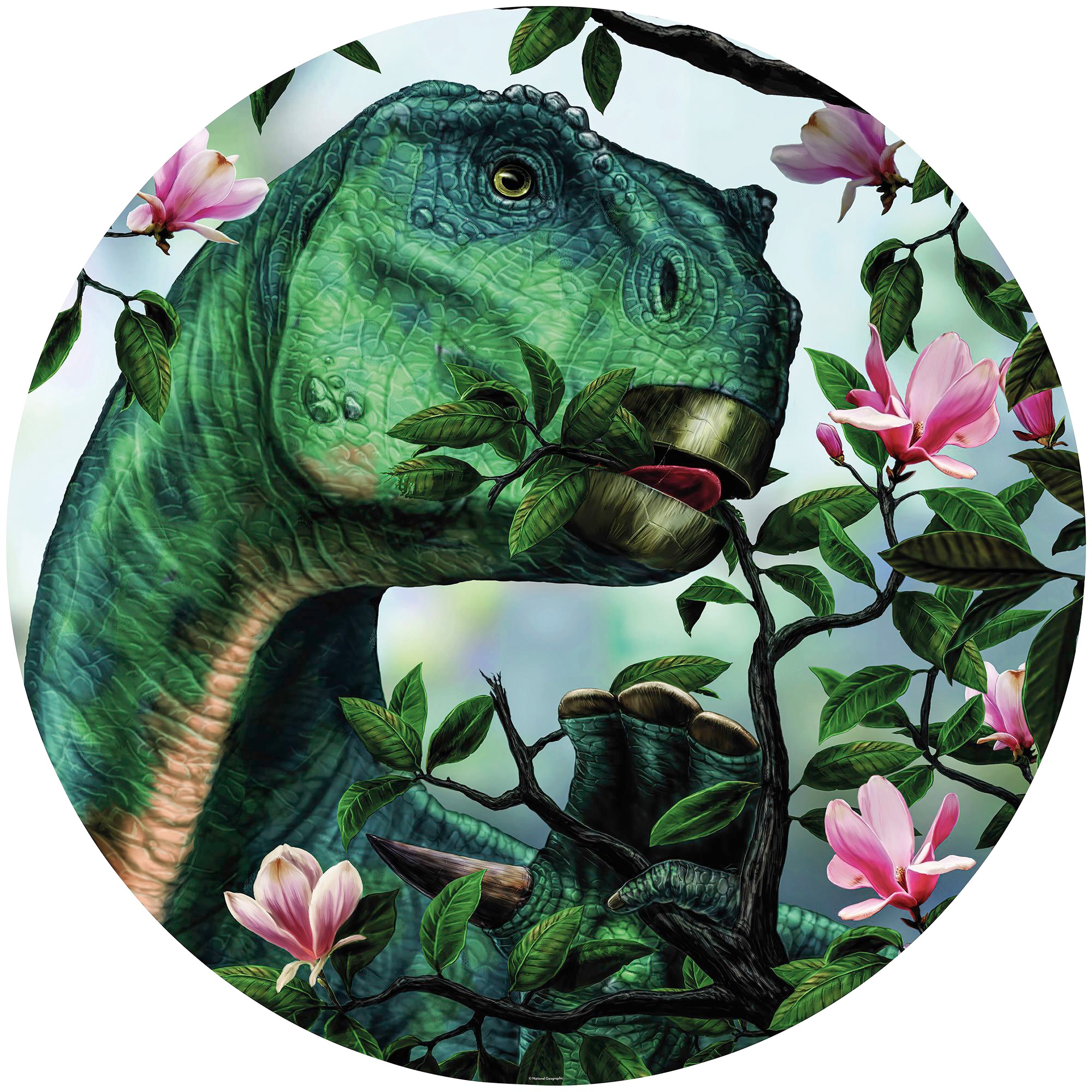 Image of Komar Fototapete »Iguanodon eating Flowers«, bedruckt-Comic-Retro-mehrfarbig, BxH: 128x128 cm, selbstklebend bei Ackermann Versand Schweiz