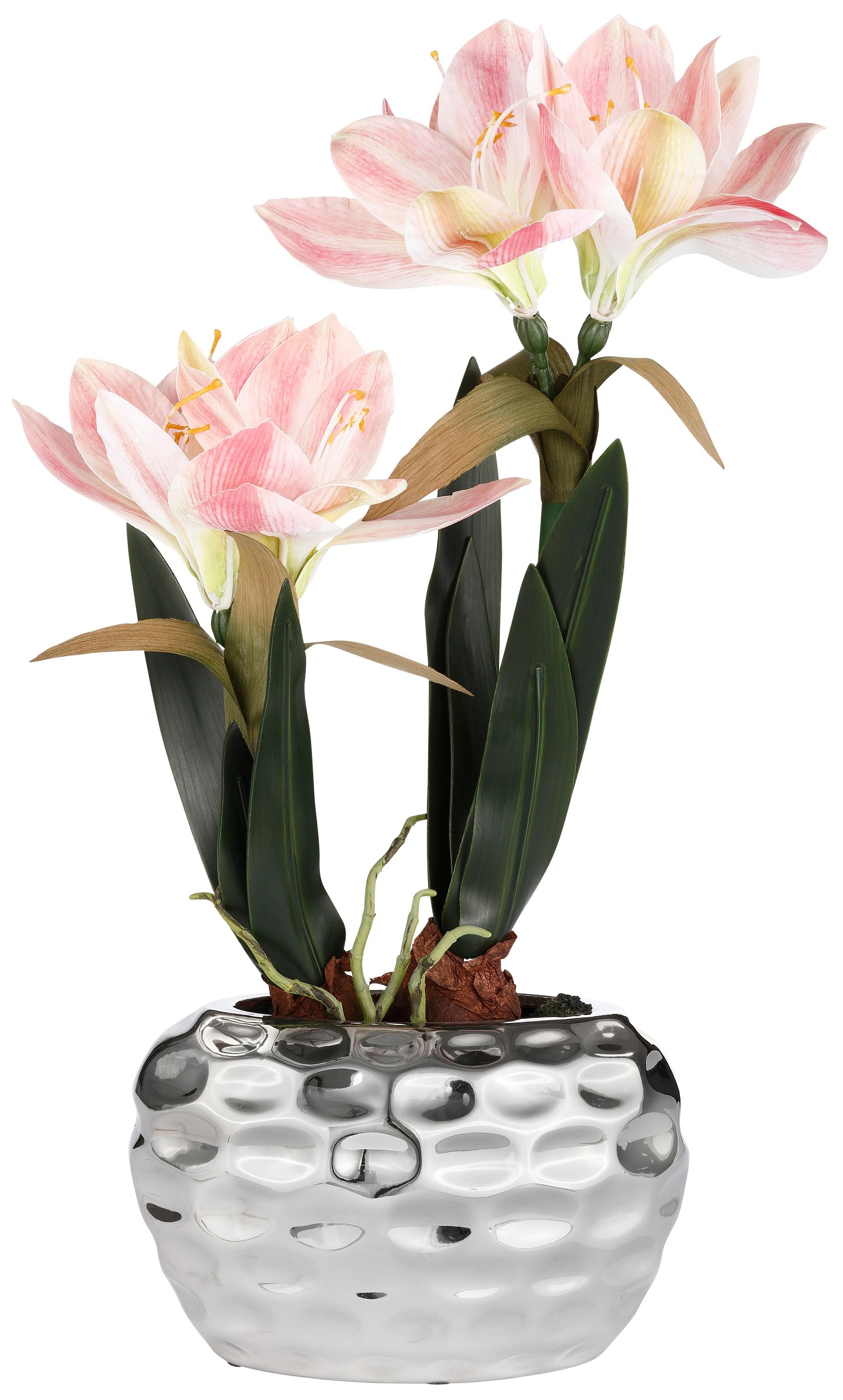 Image of my home Kunstblume »Amaryllis«, Fest verankert im Keramiktopf bei Ackermann Versand Schweiz