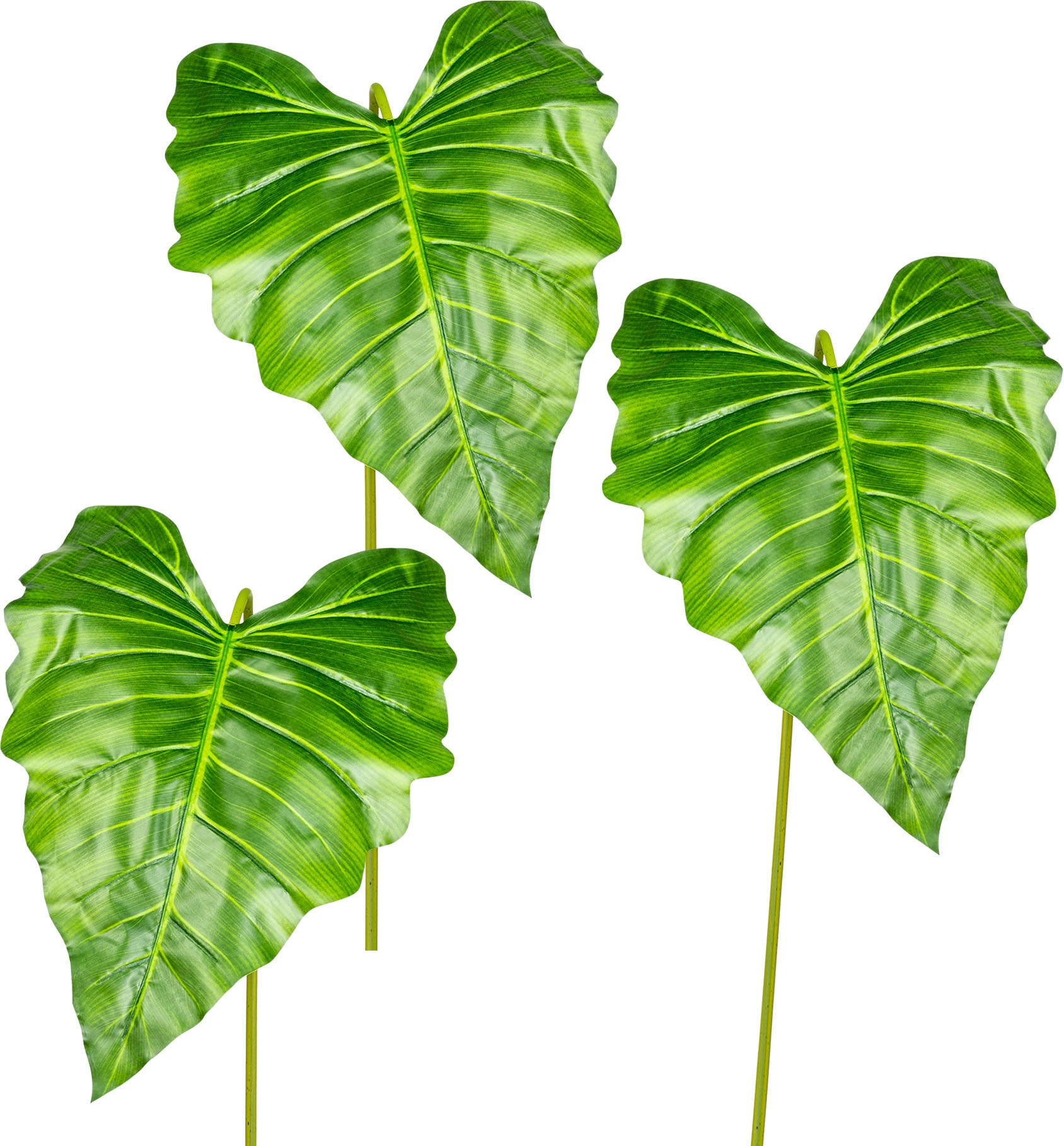 Image of Creativ green Kunstzweig »Callablatt«, (3 St.), 3er Set bei Ackermann Versand Schweiz