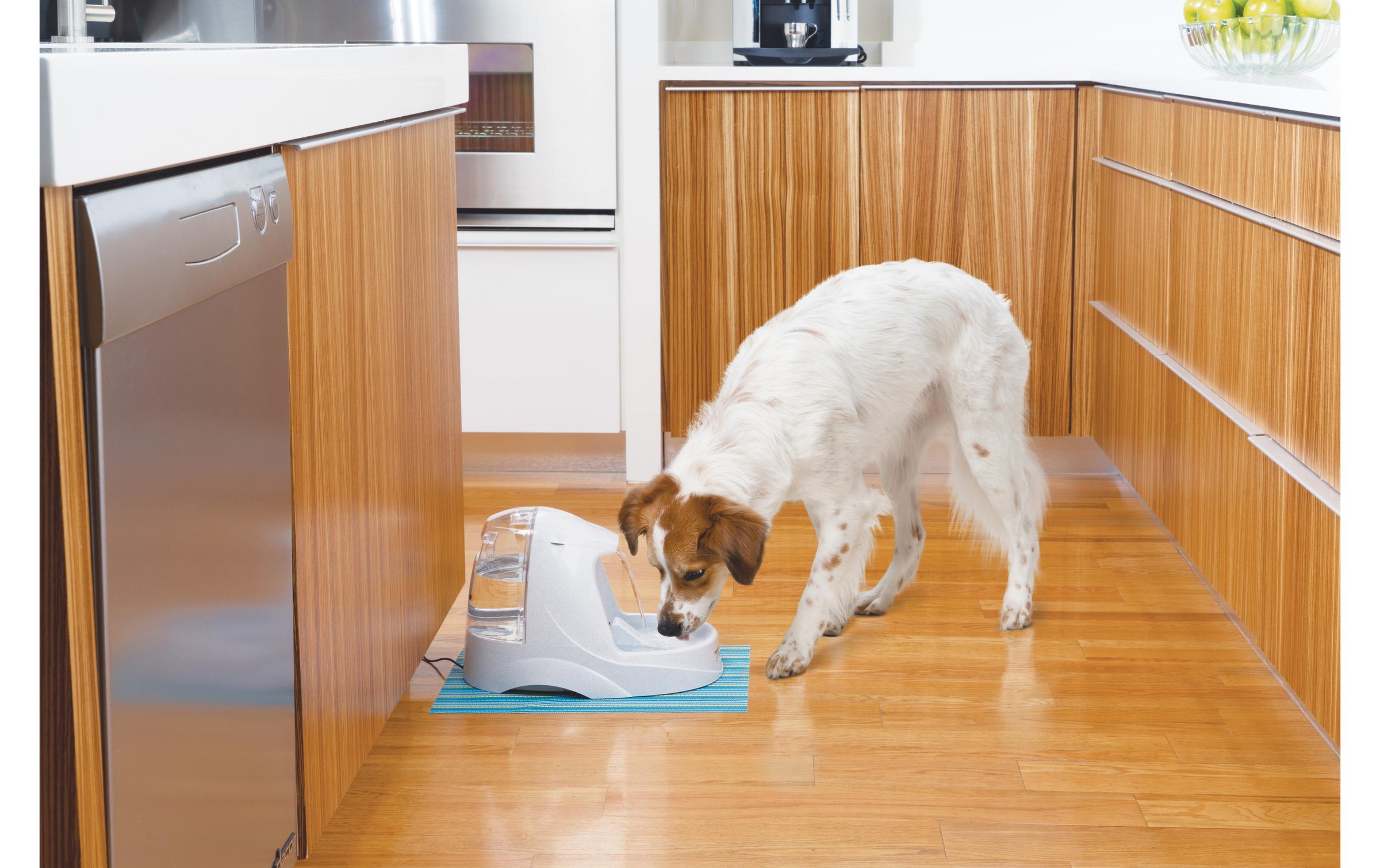 PetSafe Wasserspender »Drinkwell Trinkbrunnen Platinum 5 l«