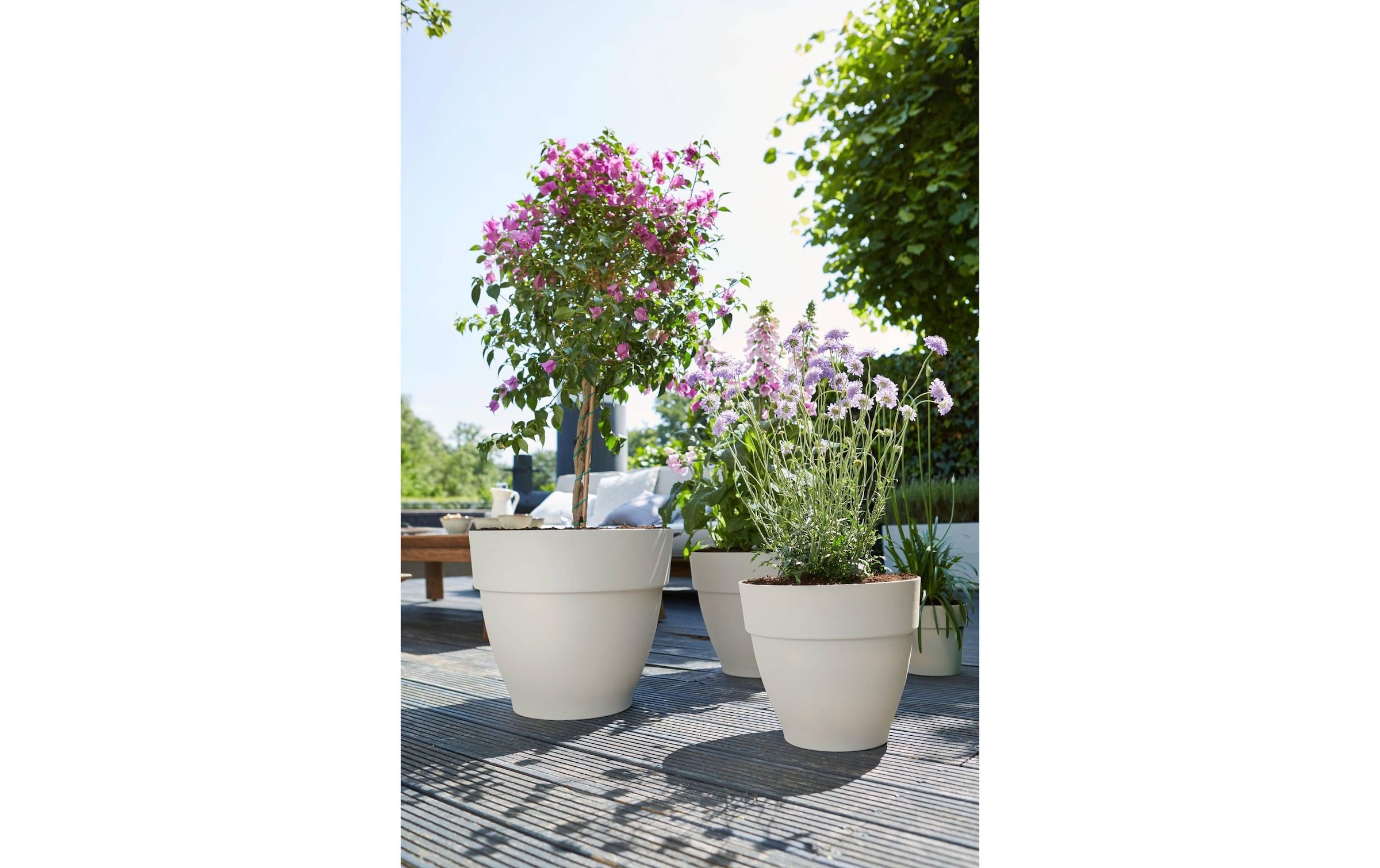 Elho Pot de fleurs »Vibia Campana Rund«