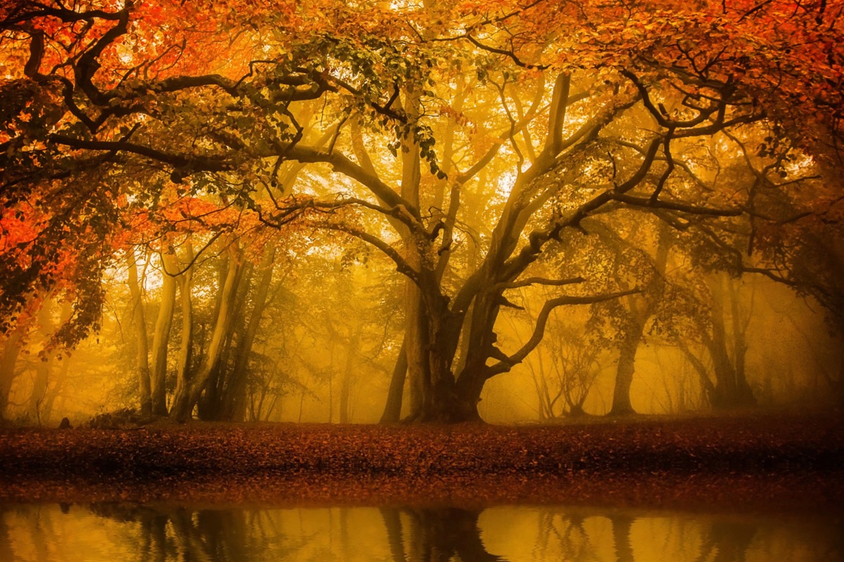 Image of Papermoon Fototapete »Leeres grosses Haus«, Vliestapete, hochwertiger Digitaldruck, inklusive Kleister bei Ackermann Versand Schweiz