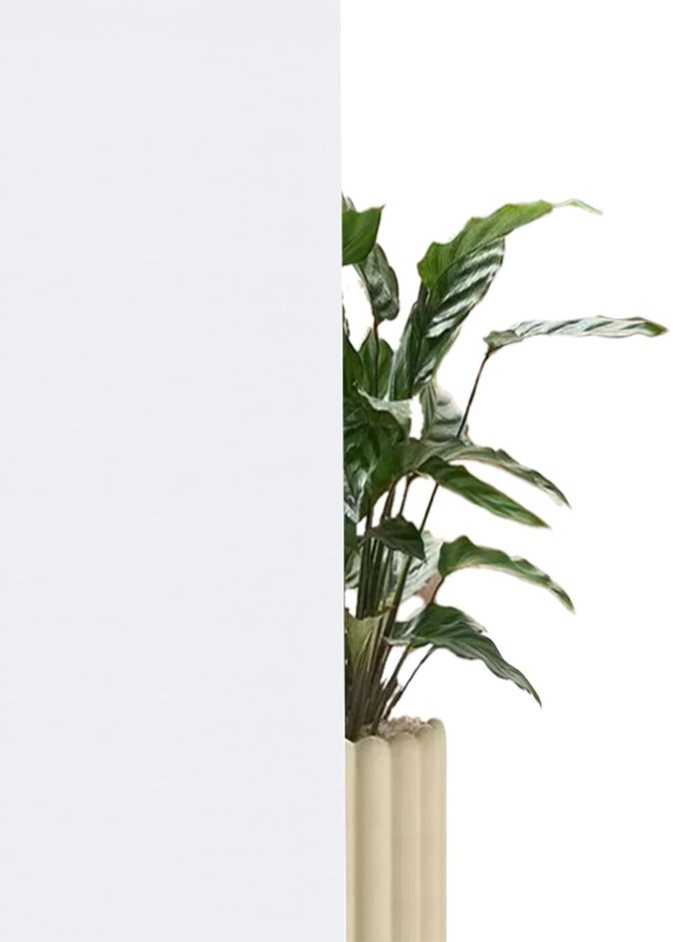 my home Seitenzugrollo »THEMSE« abdunkelnd Sichtschutz | Verdunkelung | energiesparend ohne Bohren freihängend Bestseller mit über 3000 4,5-Sterne-Bewertungen, Klemmträger