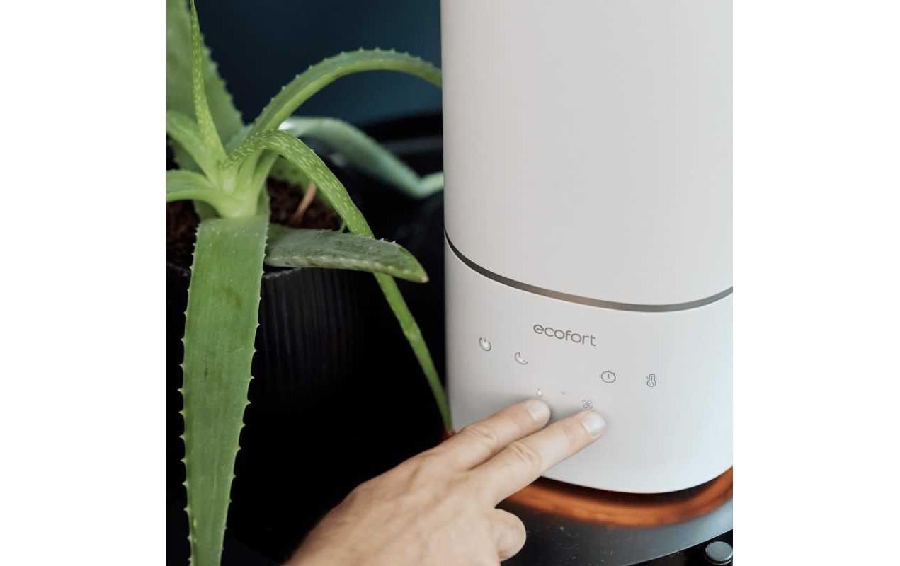   Luftbefeuchter »Ecofort ecoQ HumidAir U400+ 55 m²« 6 l Wassertank