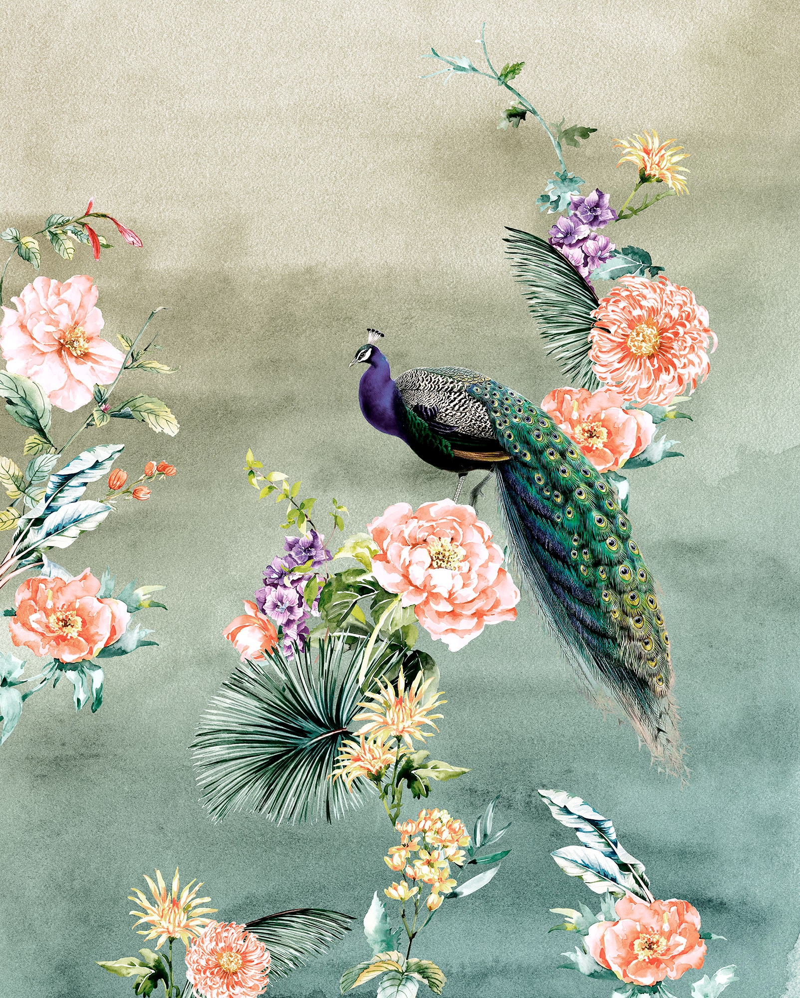 Komar Papier peint photo »Vlies Fototapete - Pfau - Grösse 200 x 250 cm« imprimé