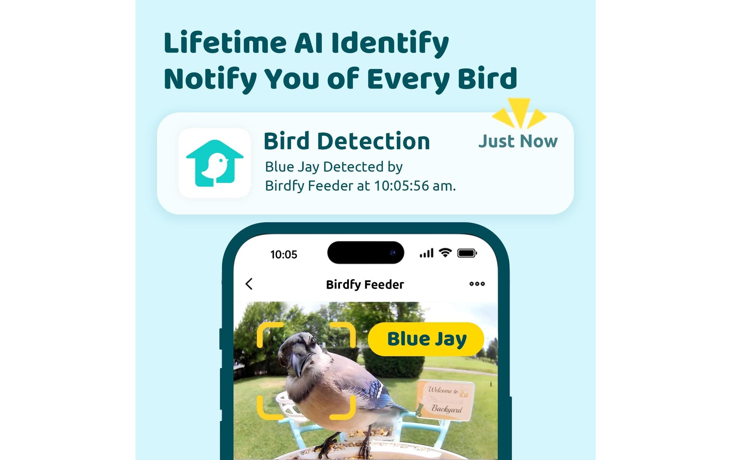Birdfy Distributeur de nourriture »Basic Solar«