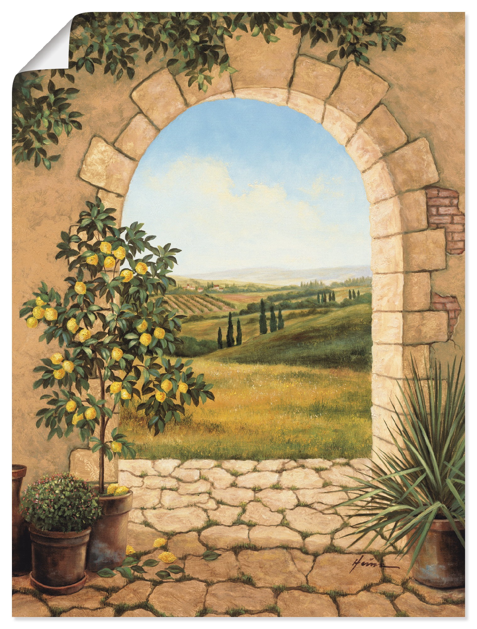 Image of Artland Wandbild "Zitronenbaum vorm Torbogen" Fensterblick 1 Stk. tlg. als Leinwandbild, Poster in verschied. Grössen