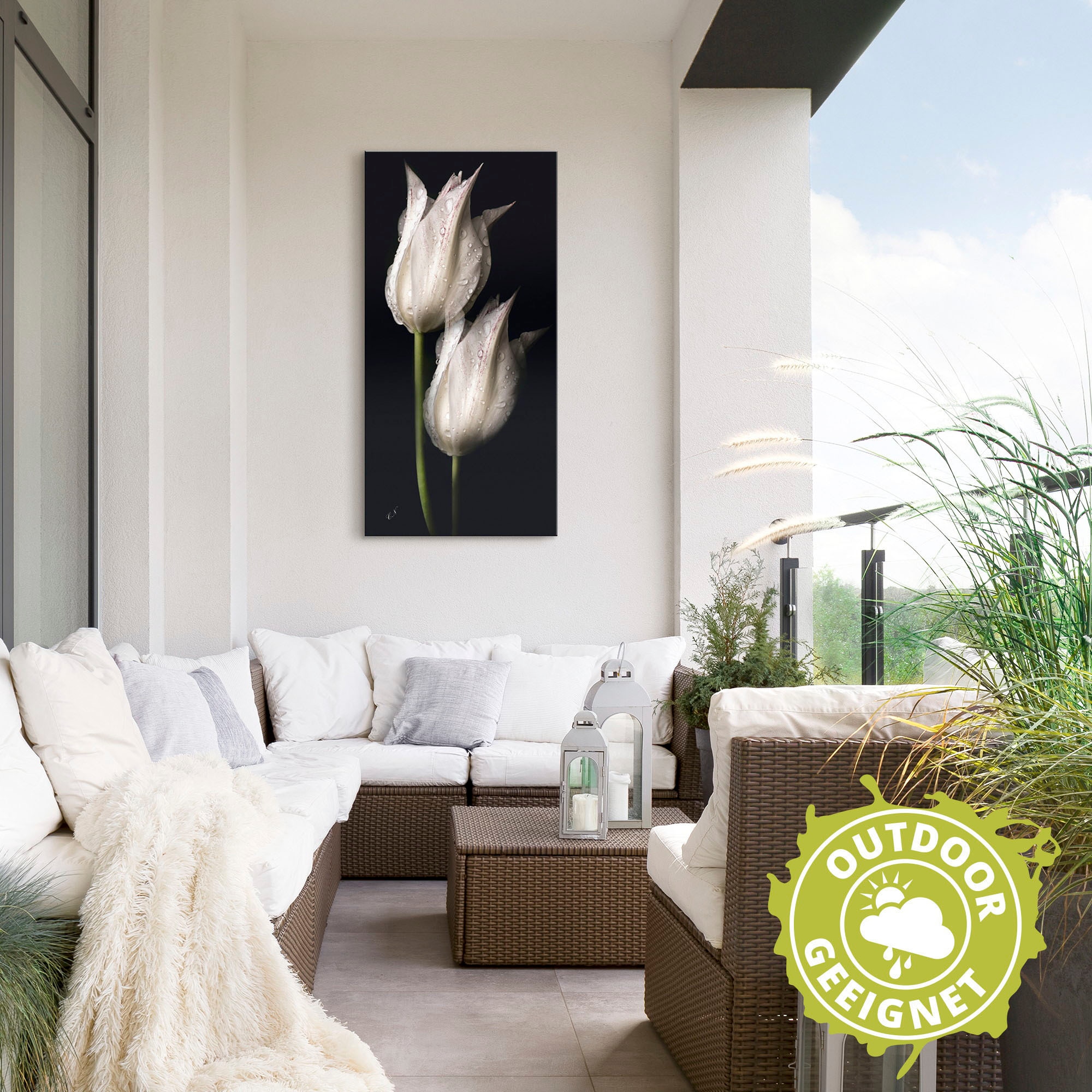Artland Wandbild »Weisse Tulpen in der Nacht«, Blumenbilder, (1 St.), als Alubild, Outdoorbild, Leinwandbild, Poster, Wandaufkleber