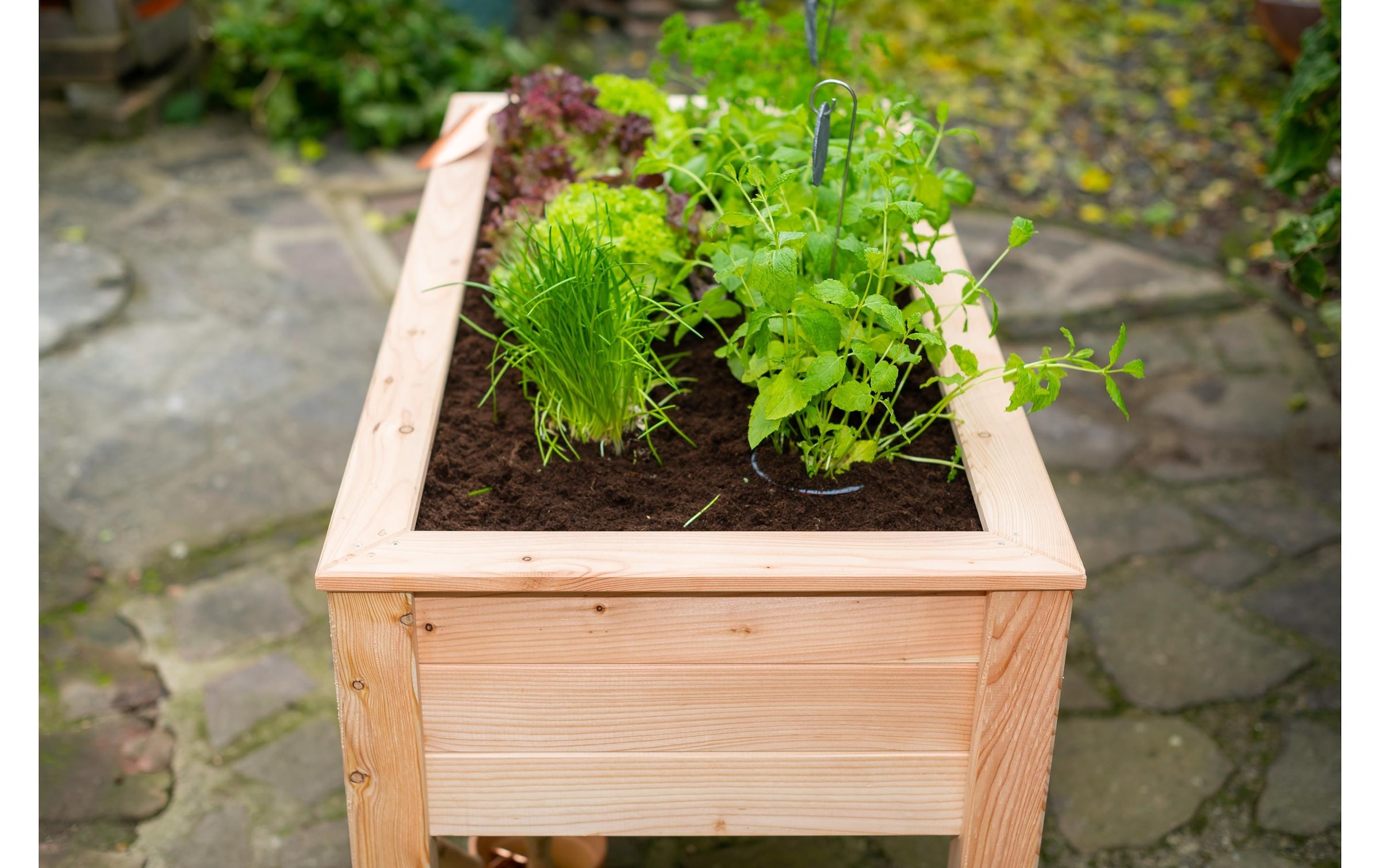WESTMANN Hochbeet »Emily« 100 % FSC®-zertifiziertes Lärchenholz