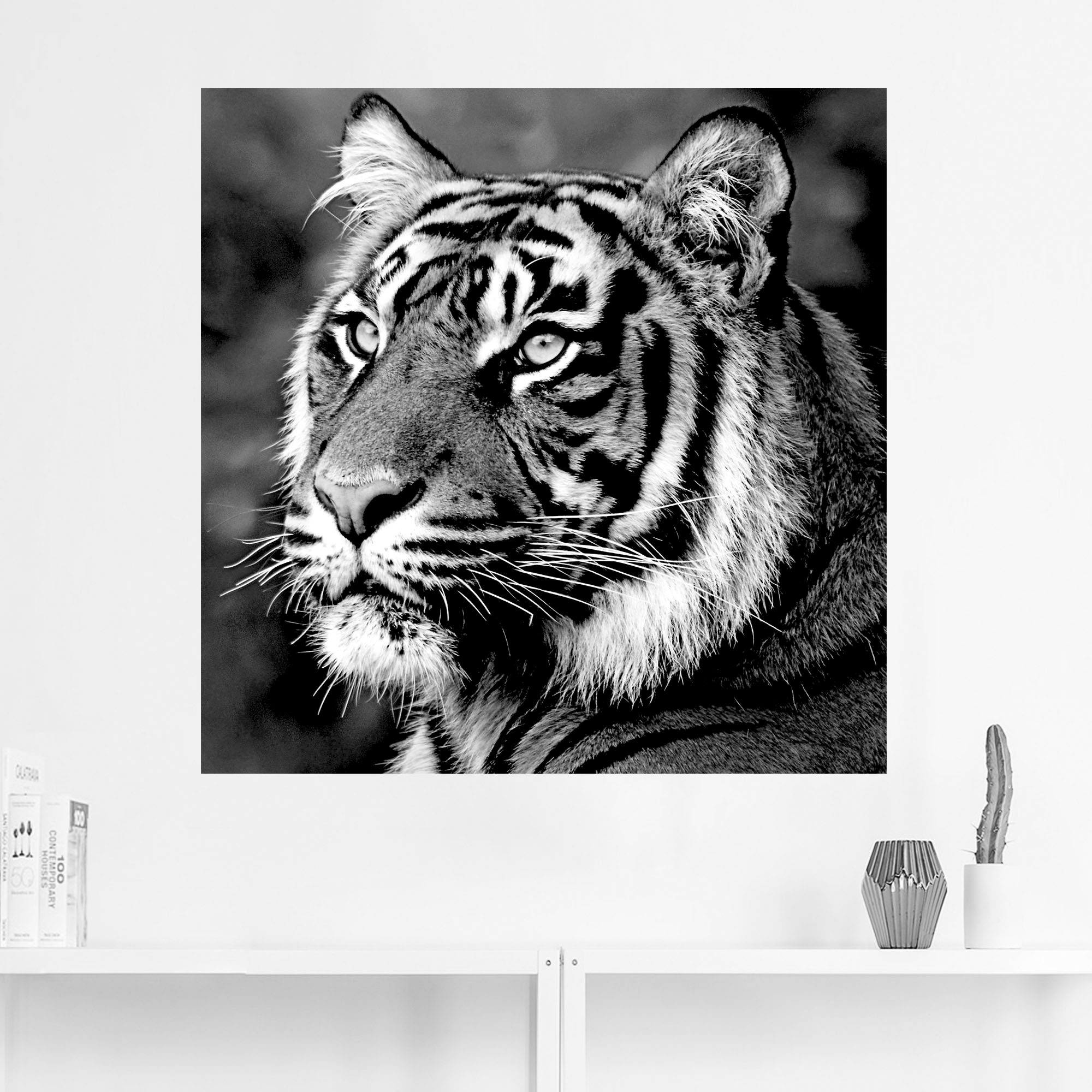 Grössen versch. »Tiger«, Leinwandbild, jetzt oder St.), Artland (1 als in kaufen Wandbild Poster Wildtiere, Wandaufkleber