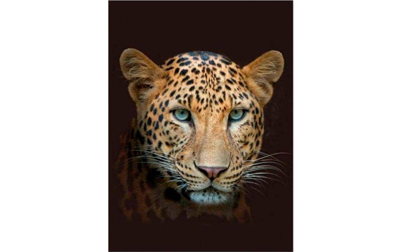 Wohndecke »Leopard 150 x 200 cm, Braun«