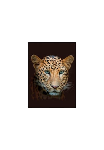 Wohndecke »Leopard 150 x 200 cm, Braun«