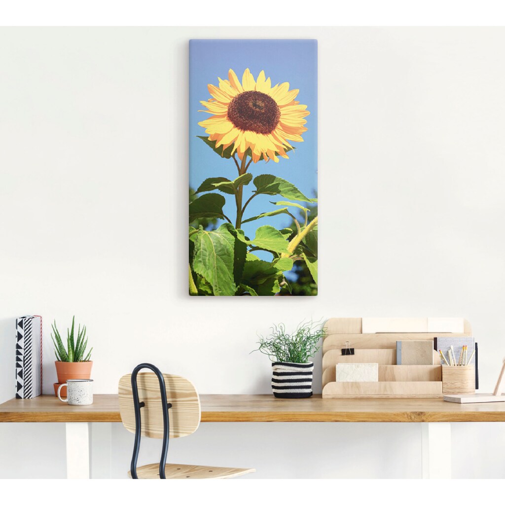 Artland Wandbild »Sonnenblume«, Blumen, (1 St.), als Alubild, Outdoorbild, Leinwandbild, Poster in verschied. Grössen