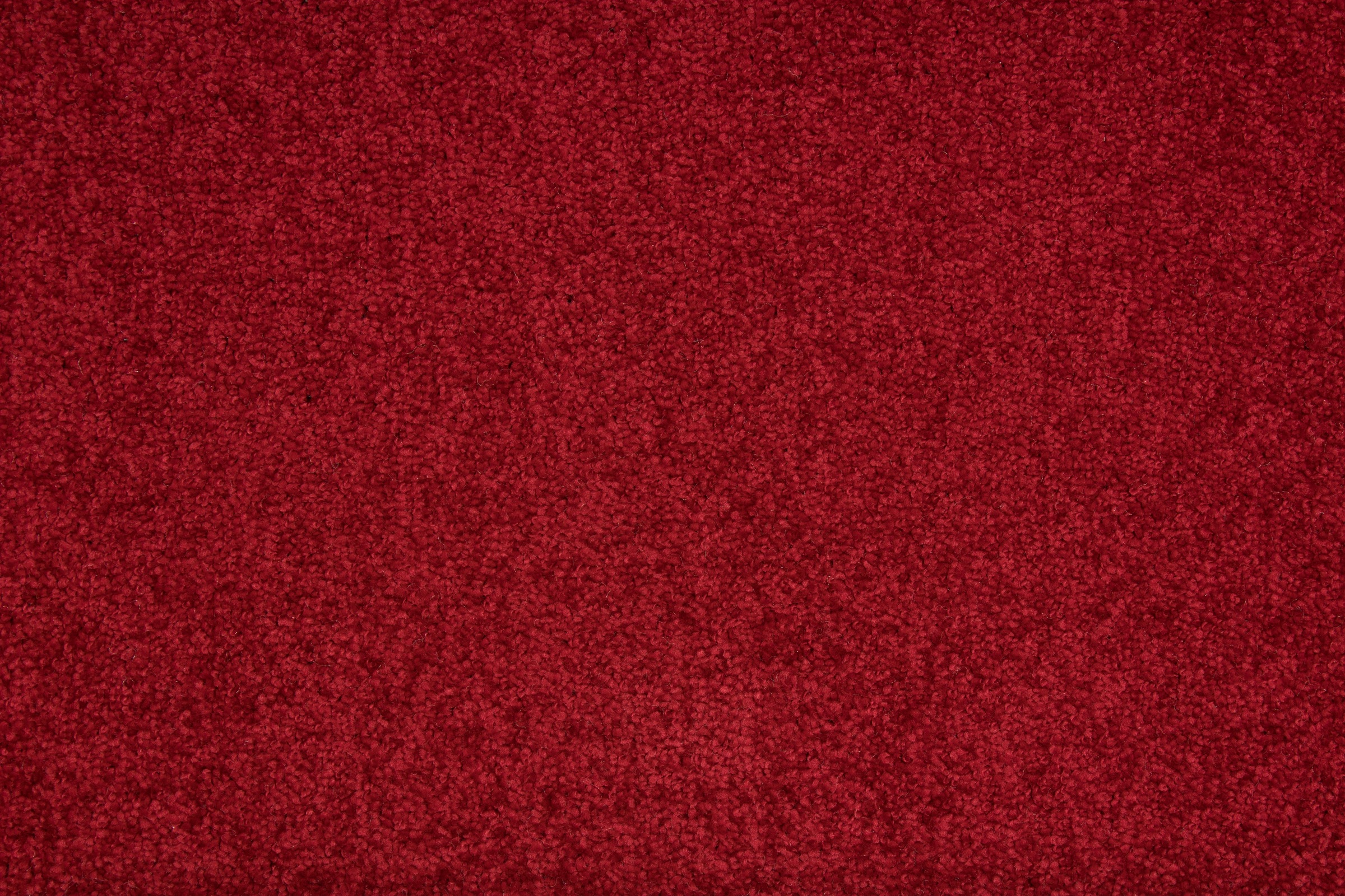 Image of Andiamo Teppichboden »Flora«, rechteckig, 9 mm Höhe, Meterware, Breite 400 cm, Uni Farben, Wohnzimmer bei Ackermann Versand Schweiz