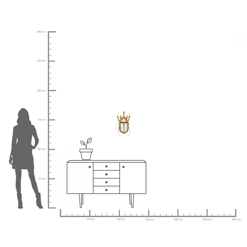 Kare Design Wanddekoobjekt »Wandschmuck Beetle Mirror 25x39cm«