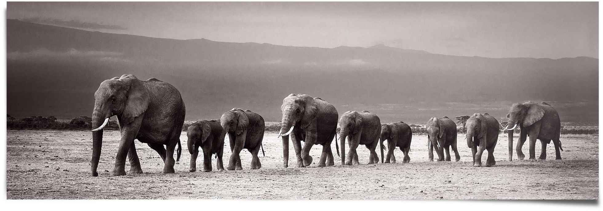 Image of Reinders! Poster »Elefantenherde auf Reise«, (1 St.) bei Ackermann Versand Schweiz