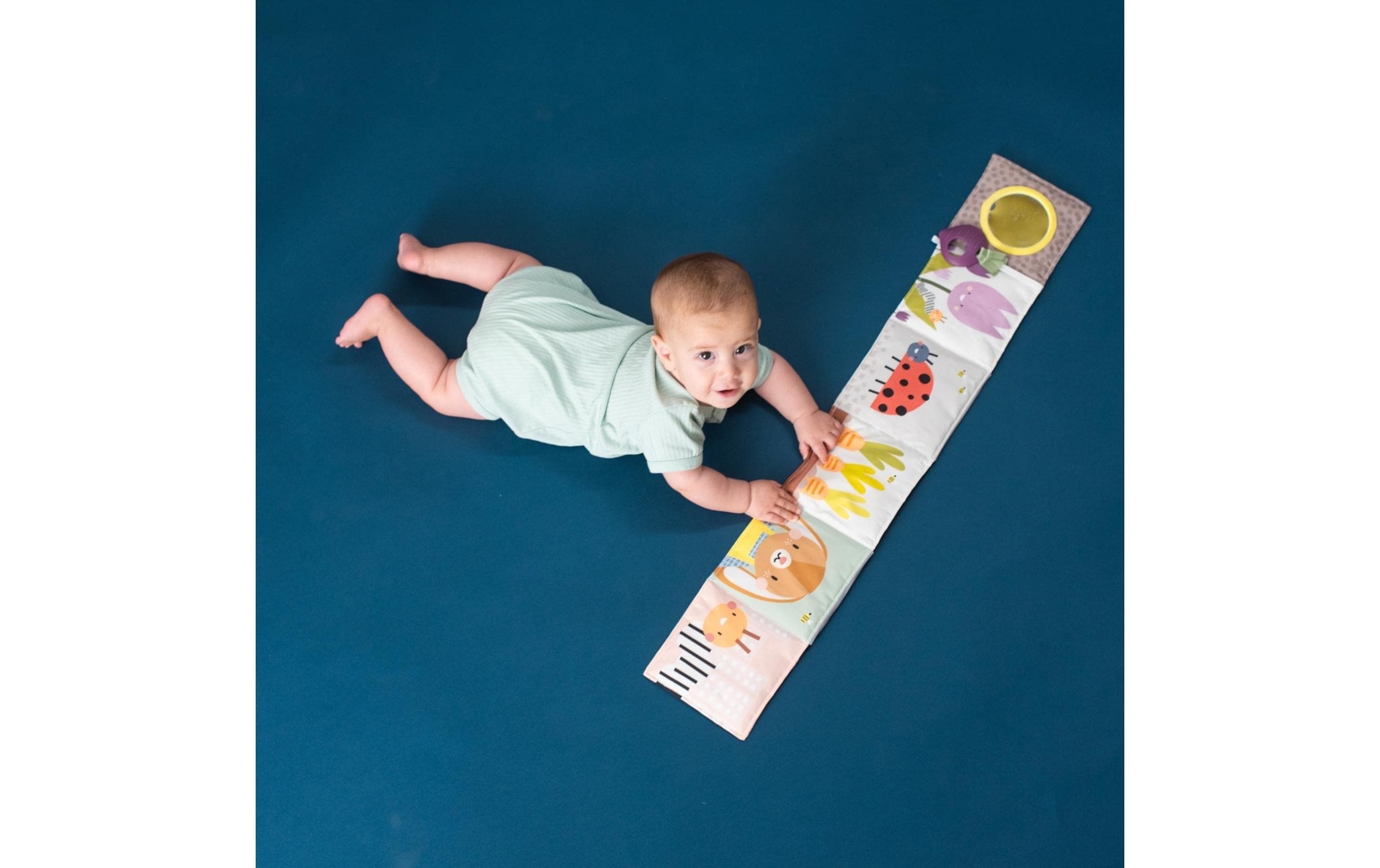 TAF TOYS Jouets éducatifs »Urban Garden 0M+«