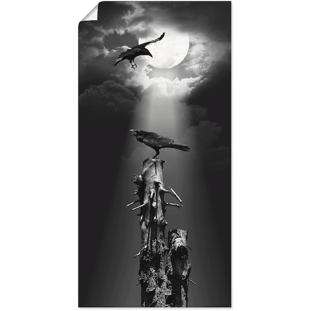 Poster Artland Nacht«, Leinwandbild, günstig Grössen in als »Raben Wandbild Vögel, in versch. der Wandaufkleber kaufen St.), (1 oder