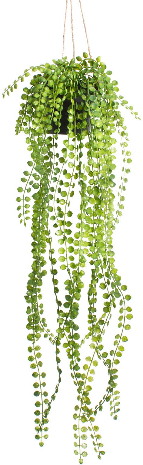Künstliche Zimmerpflanze »Ficus-Pumila-Hängeampel«
