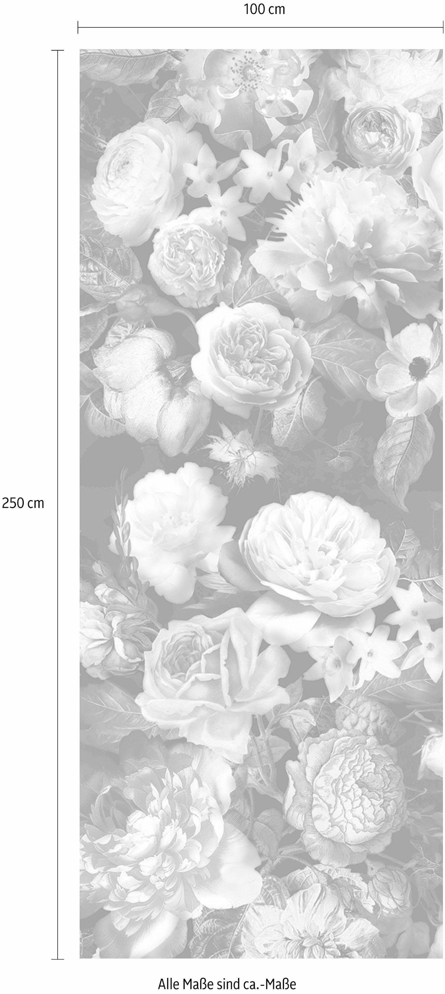 Komar Papier peint intissé »Victoria Black Panel« (Breite x Höhe), Vliestapete, 100 cm Bahnbreite