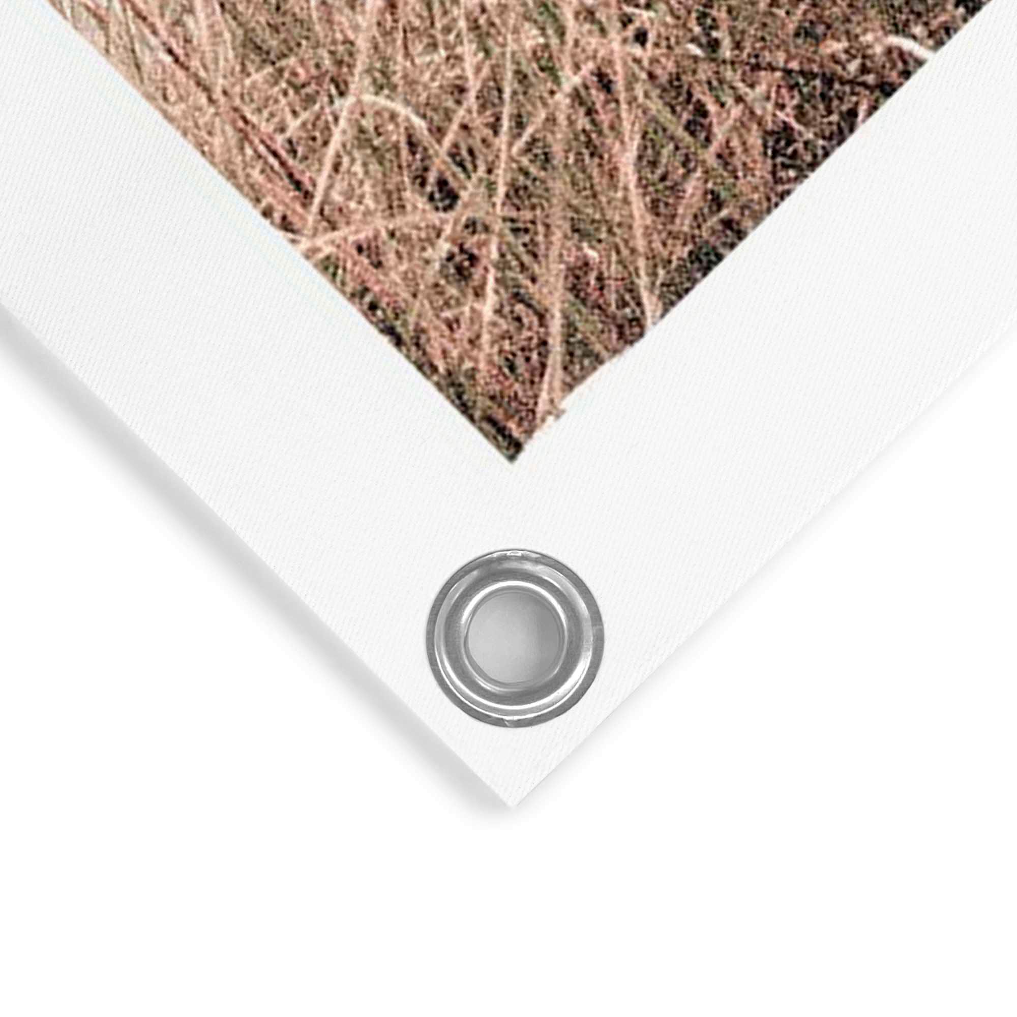 Reinders! Poster »Kraniche«