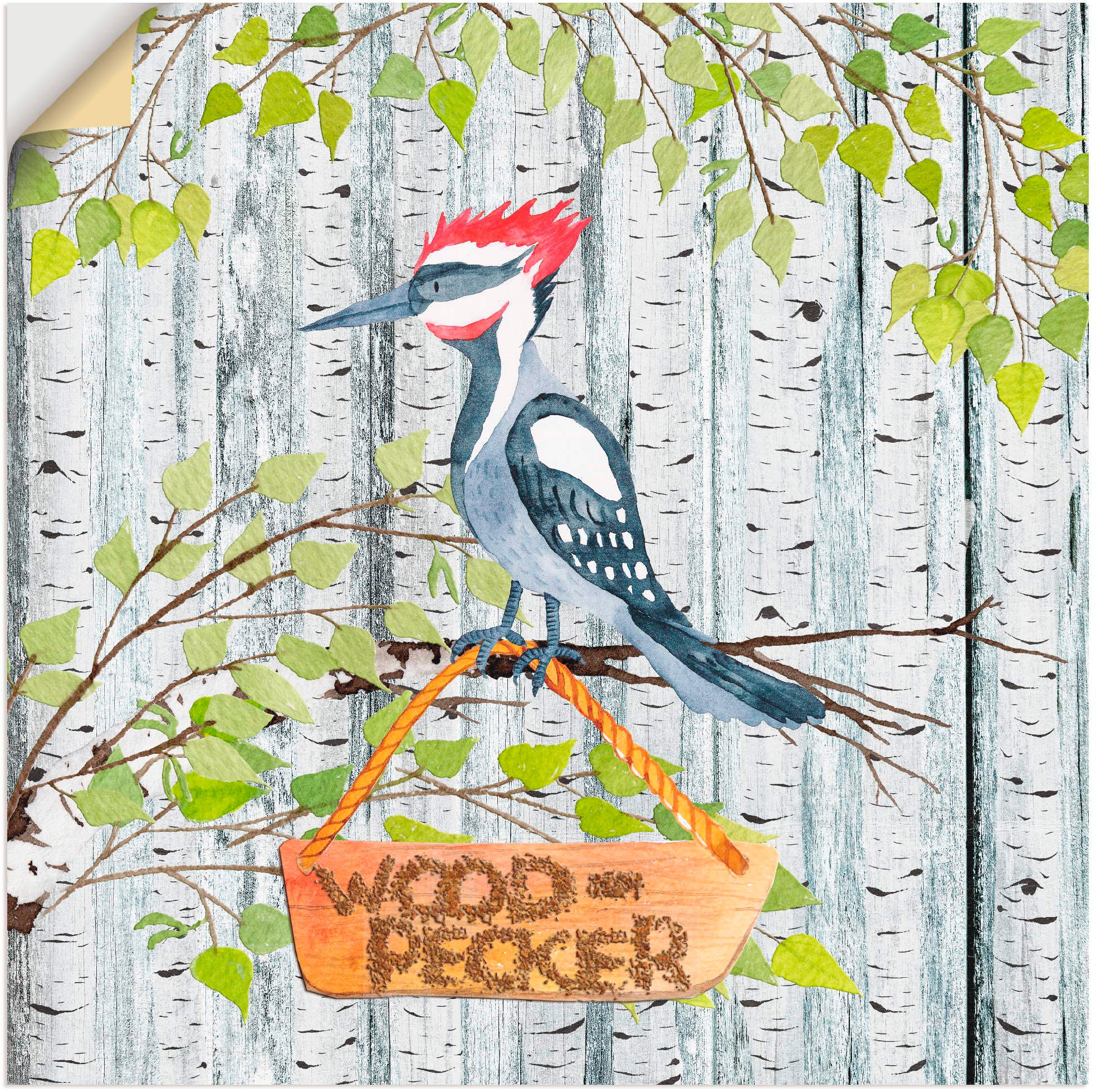 Image of Artland Wandbild »Waldfreunde- der laute Specht«, Tiere, (1 St.), in vielen Grössen & Produktarten - Alubild / Outdoorbild für den Aussenbereich, Leinwandbild, Poster, Wandaufkleber / Wandtattoo auch für Badezimmer geeignet bei Ackermann Versand Schweiz