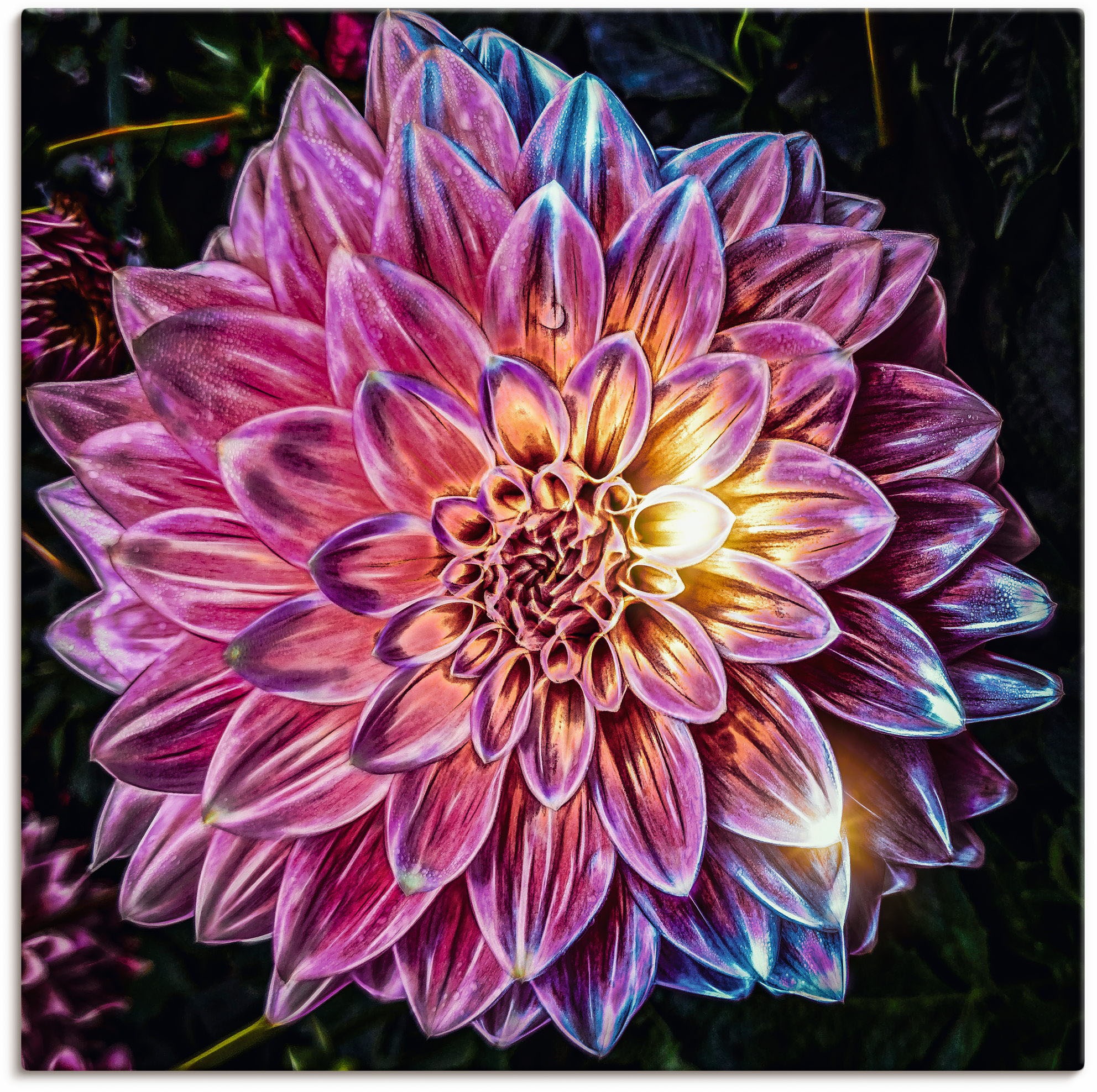 Image of Artland Wandbild »Lila Blüte beleuchtet«, Blumenbilder, (1 St.), in vielen Grössen & Produktarten - Alubild / Outdoorbild für den Aussenbereich, Leinwandbild, Poster, Wandaufkleber / Wandtattoo auch für Badezimmer geeignet bei Ackermann Versand Schweiz