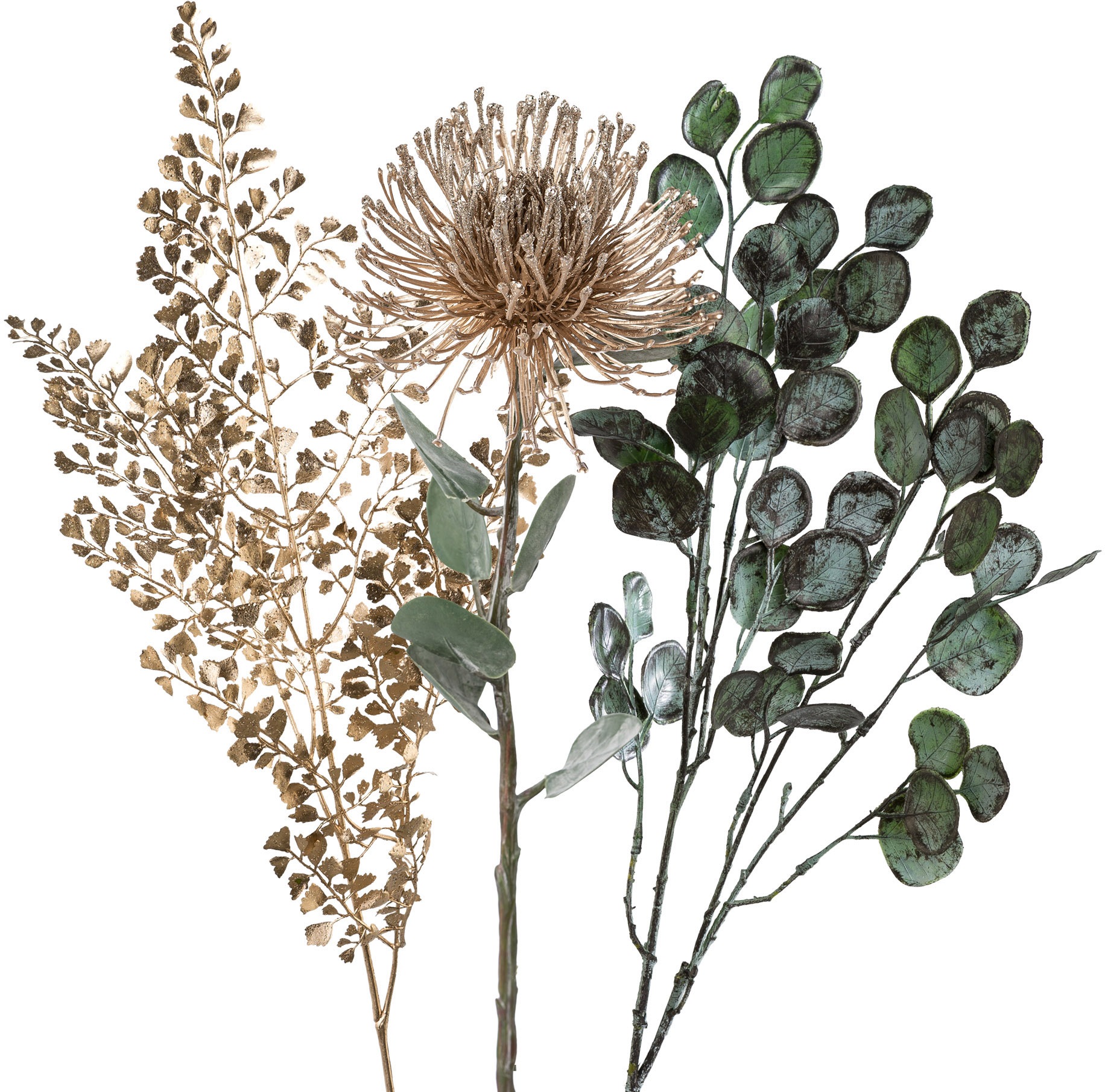 Image of LeGer Home by Lena Gercke Kunstzweig »Fania«, (Set, 3 St.), Prothea, Eukalypthus-Populuszweig, Adianthumzweig bei Ackermann Versand Schweiz