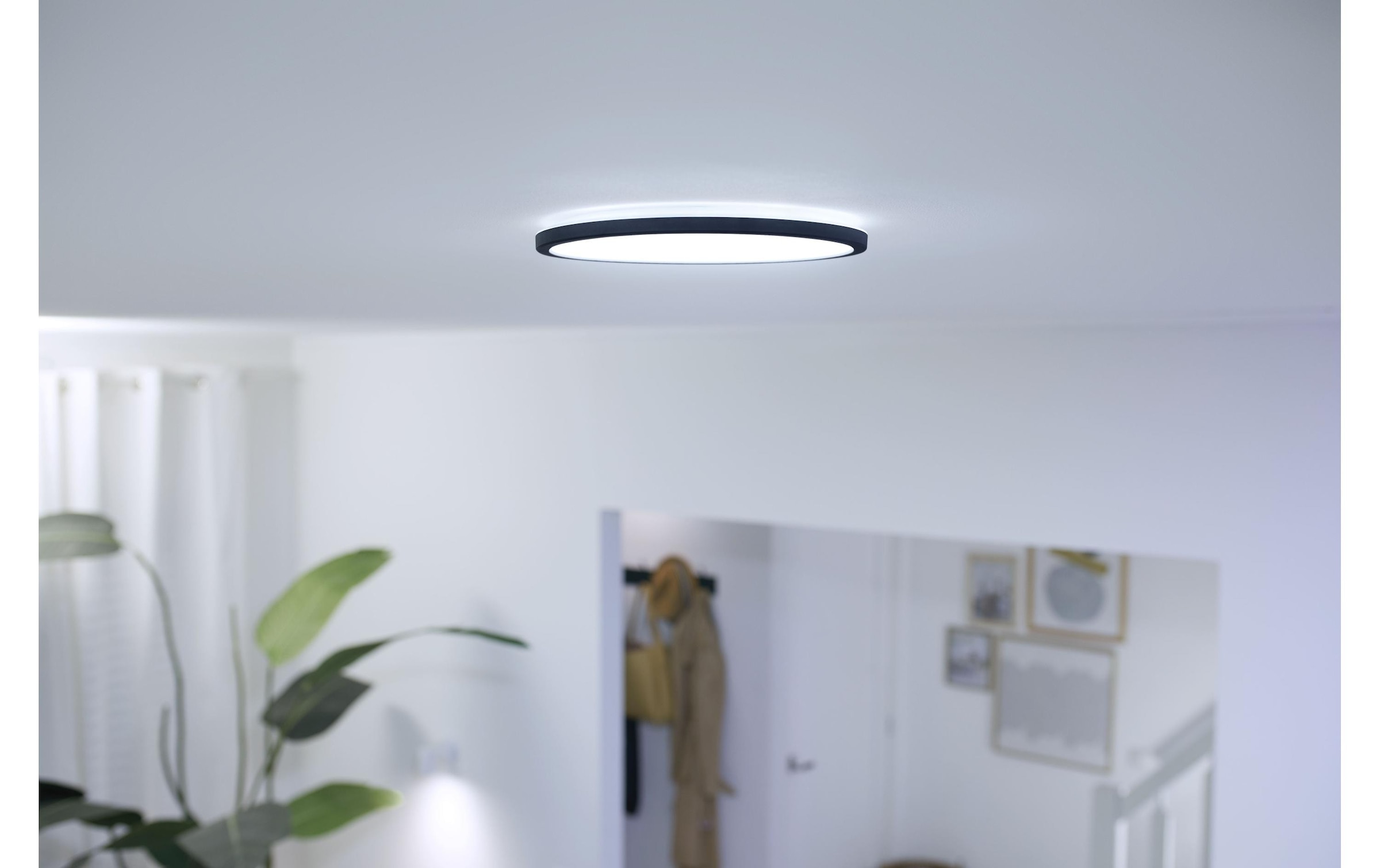   Deckenleuchte »WiZ Ceiling 16W B RD« Kaltweiss | Neutralweiss | Tageslichtweiss | Warmweiss