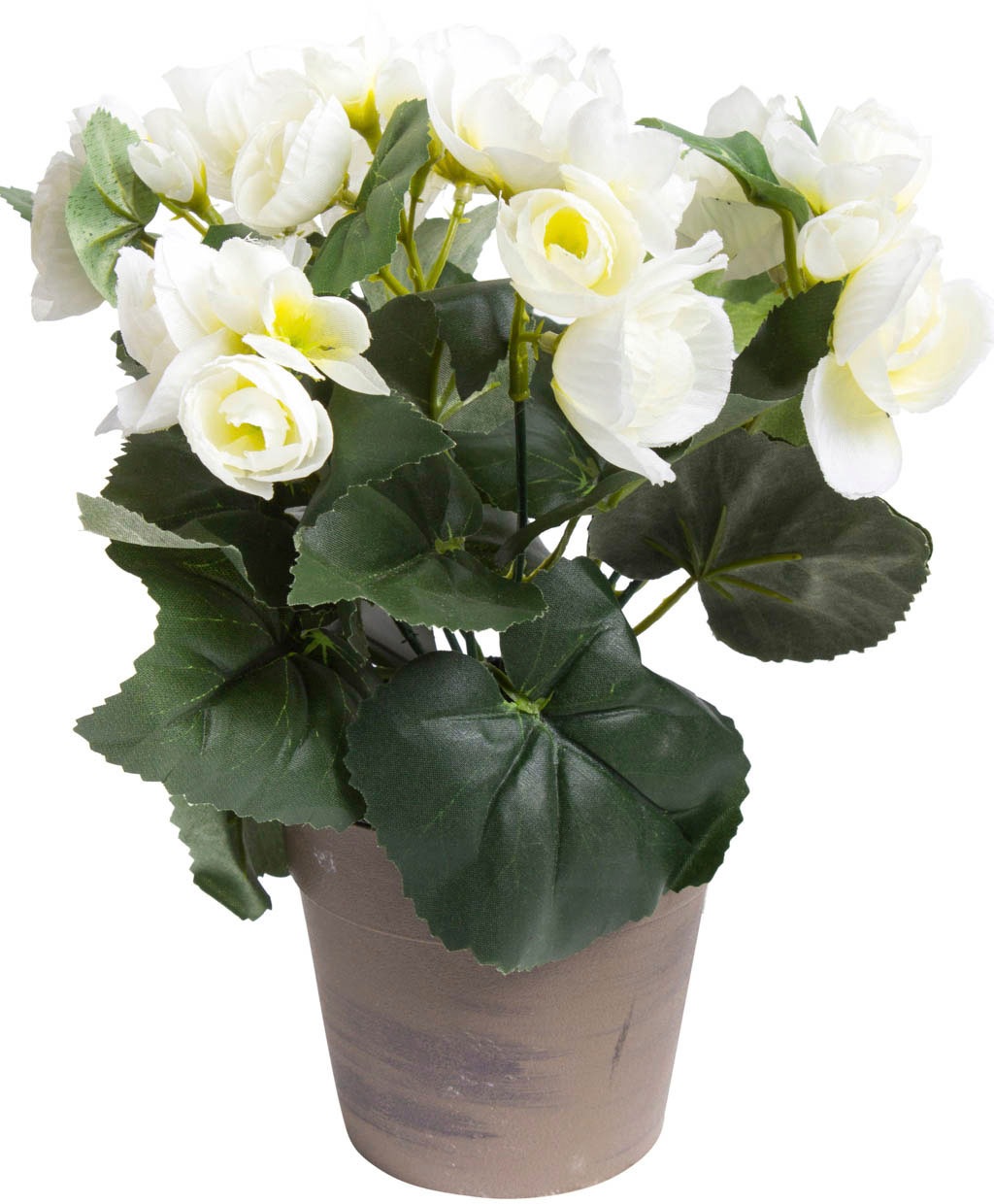 Image of Botanic-Haus Kunstblume »Begonie im Topf«, (1 St.) bei Ackermann Versand Schweiz