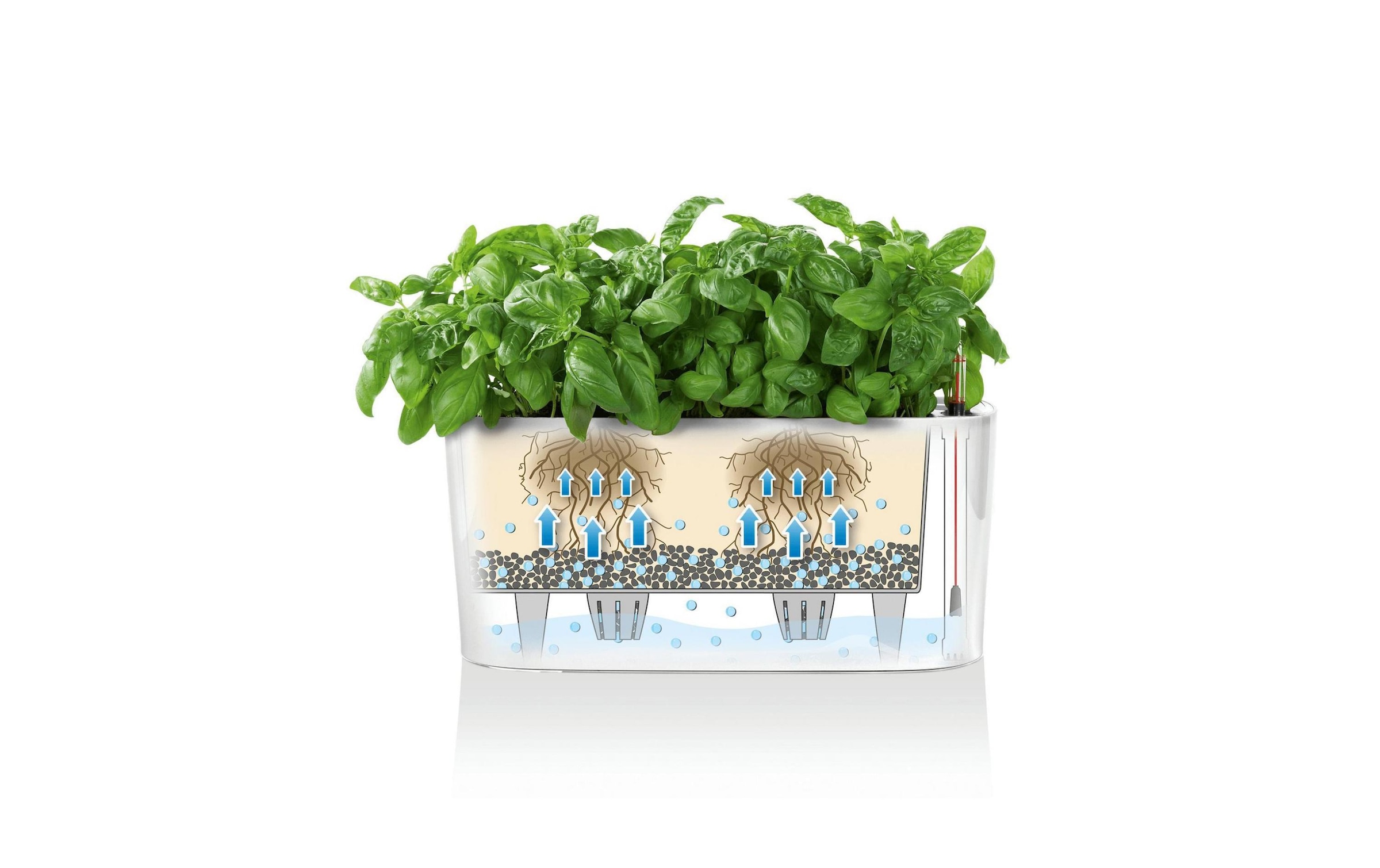   Pot de fleurs »Lechuza Delta 20«