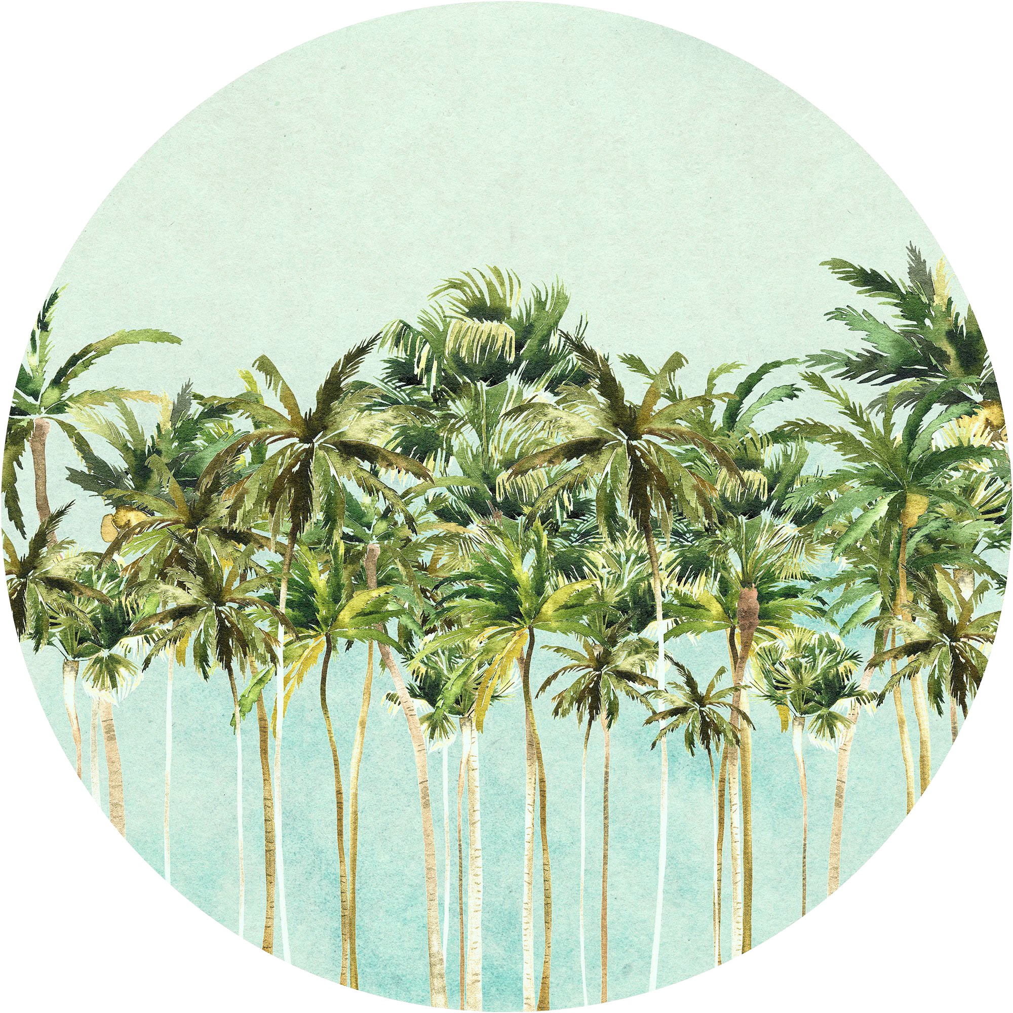 Image of Komar Fototapete "Vlies selbstklebend - Coconut Trees - Grösse 125 x 125 cm" bedruckt glatt Wohnzimmer, Schlafzimmer