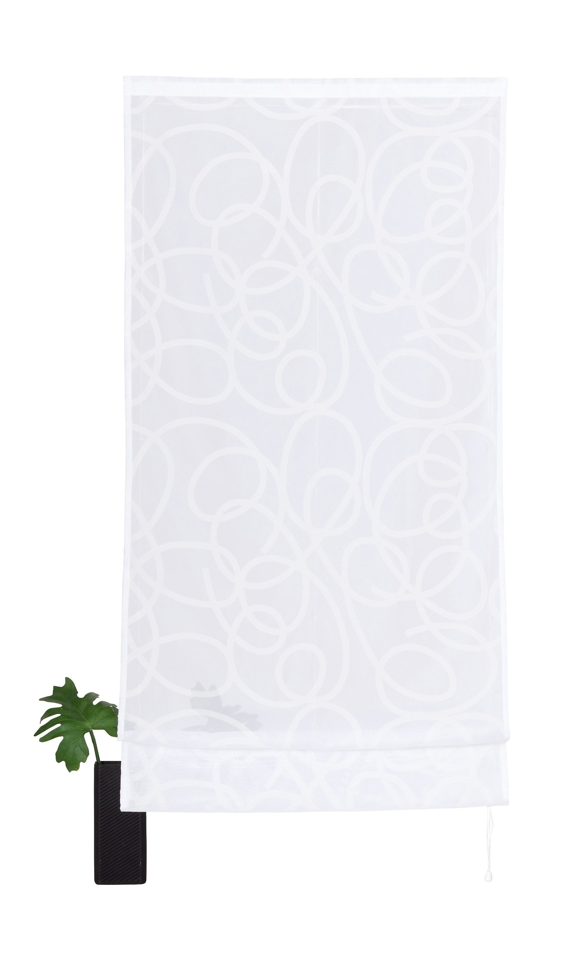 Image of my home Raffrollo »Tanaro«, mit Klettschiene, Transparent, Voile, Polyester bei Ackermann Versand Schweiz