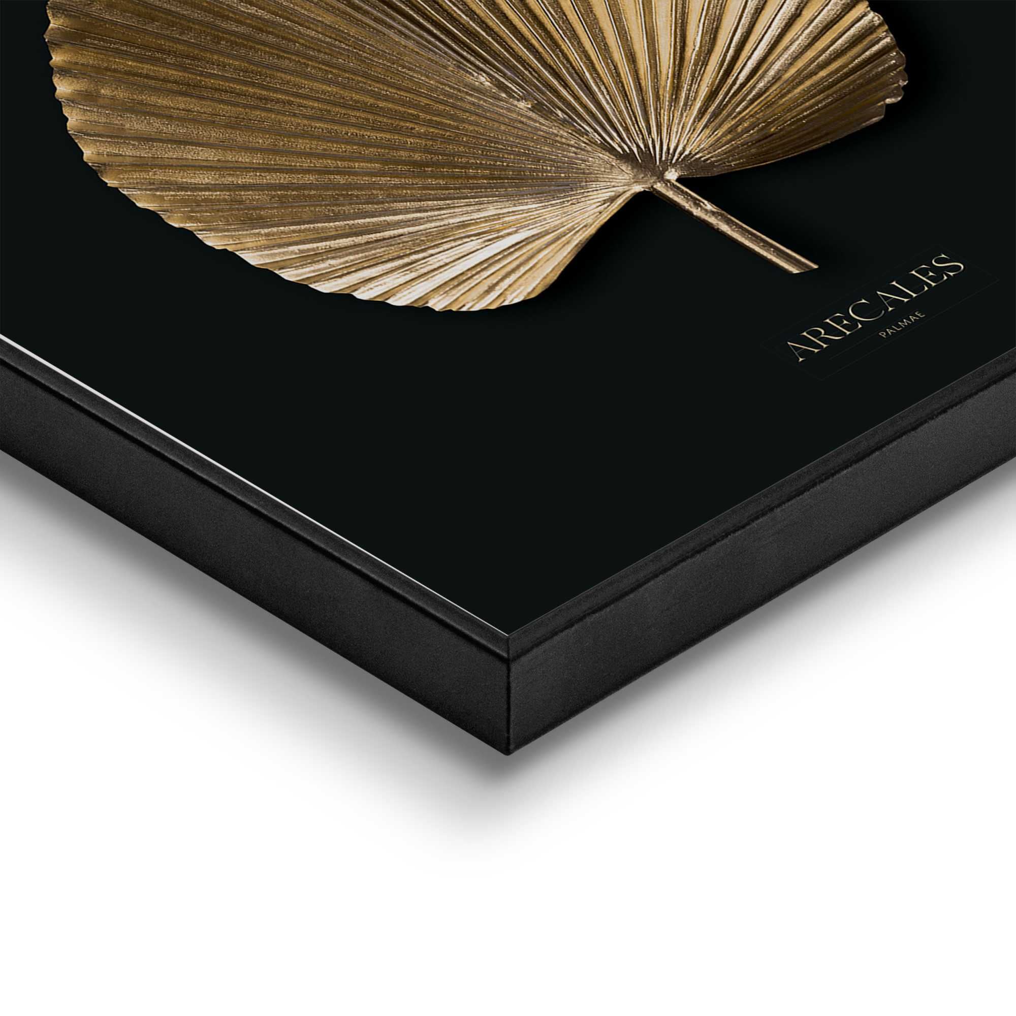 Reinders! Poster »Areca Gold«