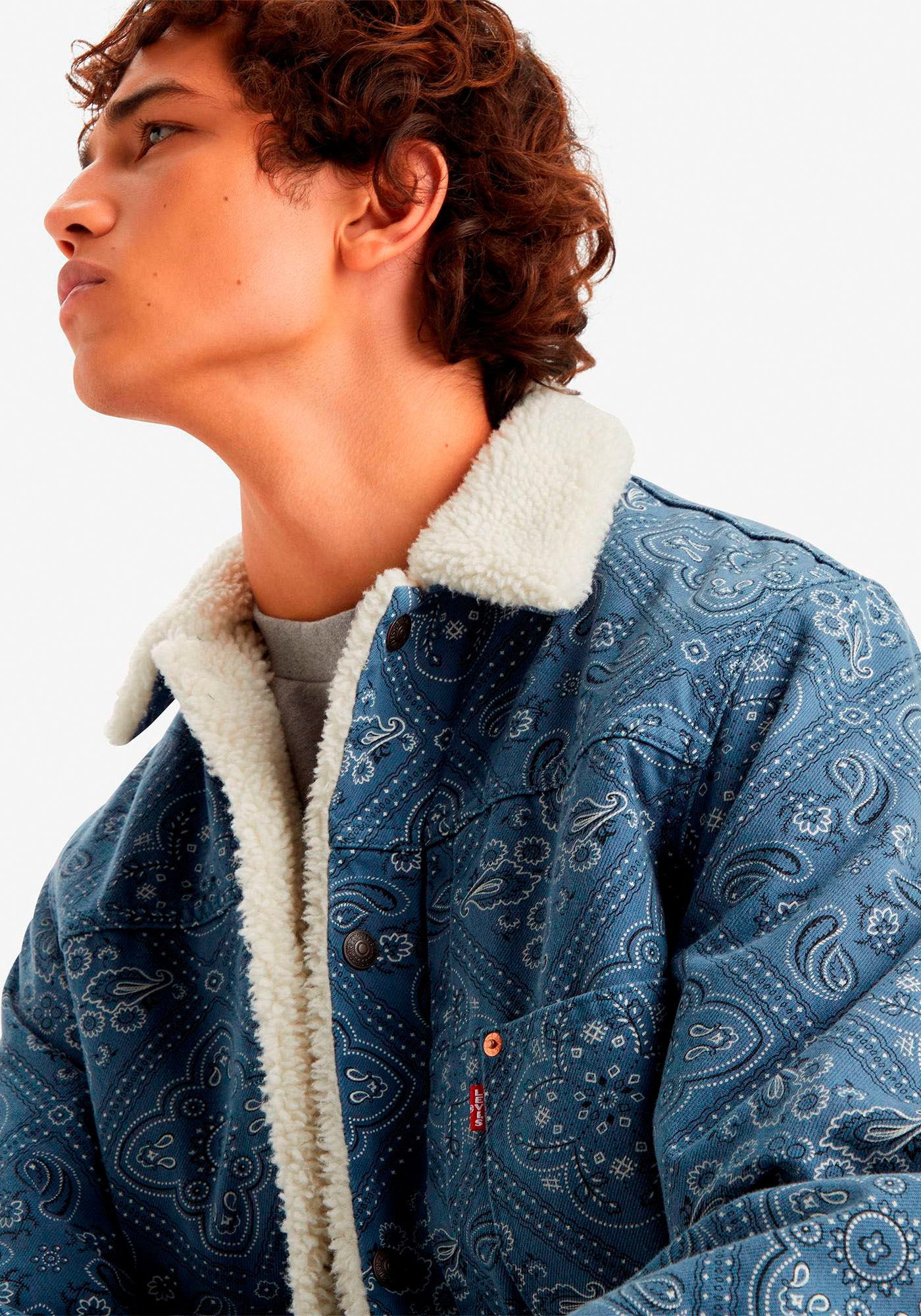 Levi's® Jeansjacke »TYPE 1 SHERPA TRUCKER BLUES«