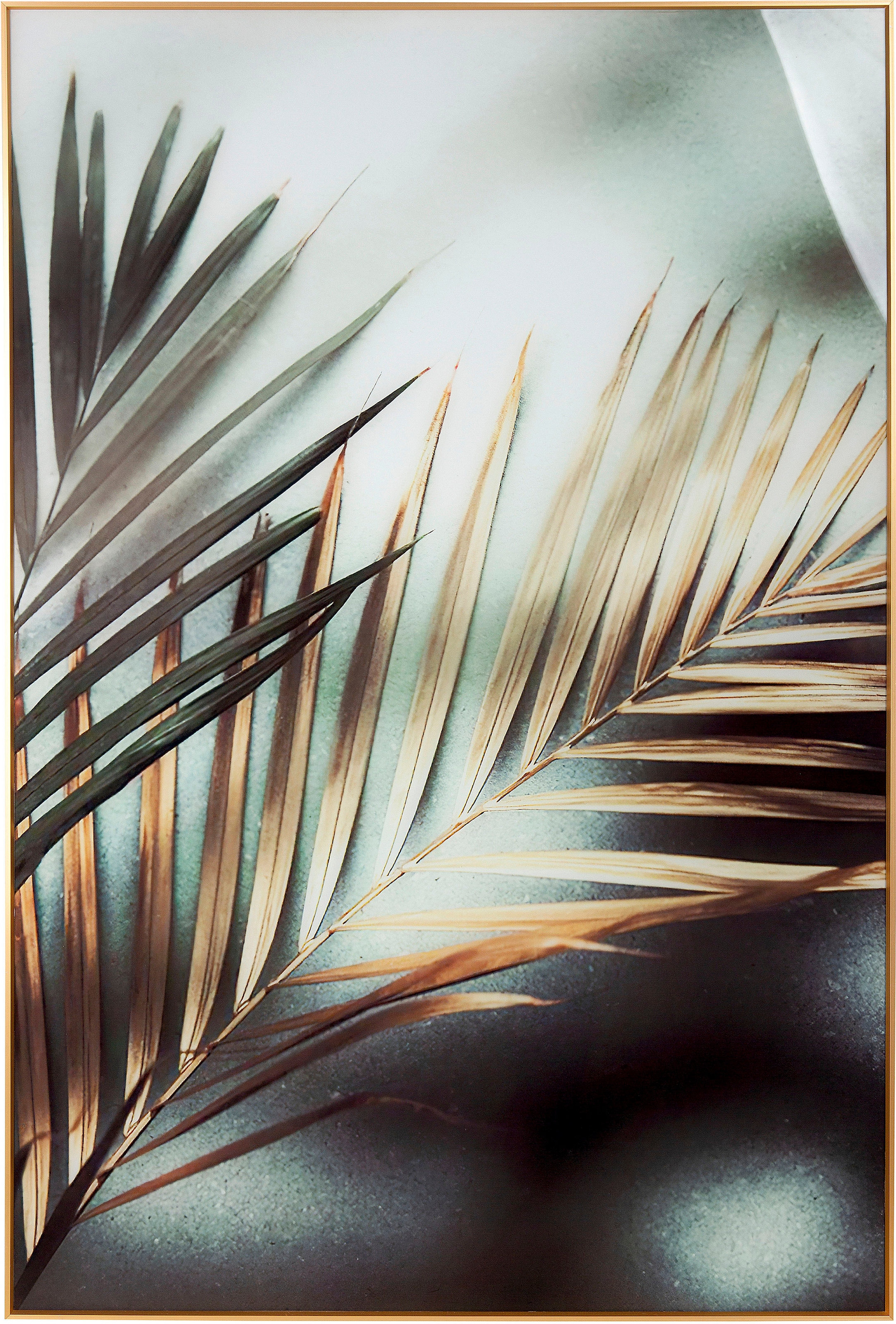 Casablanca by Gilde Acrylglasbild »Bild Goldfarbenener Farn«, (1 St.)